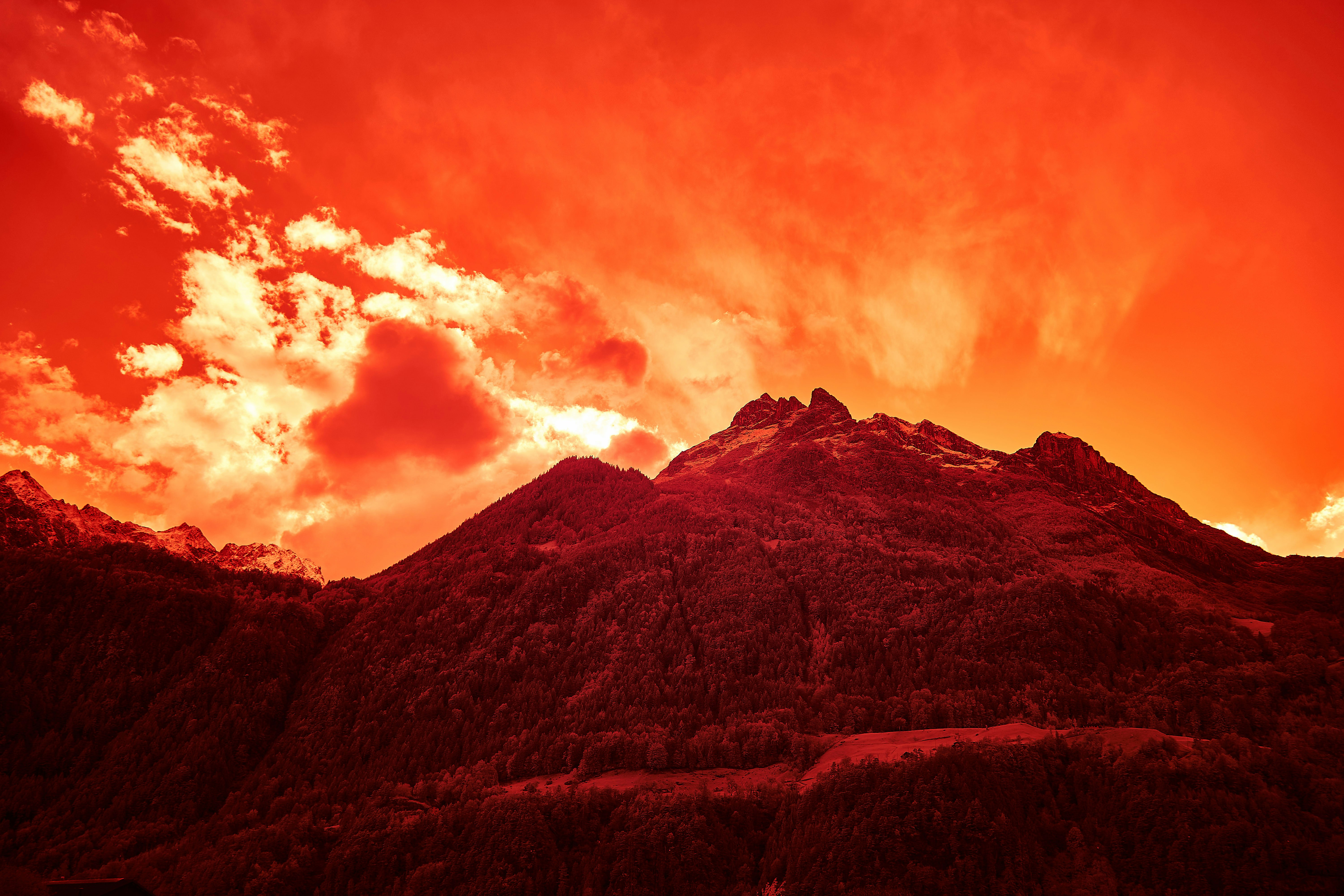 Photo by wolfgang_hasselmann