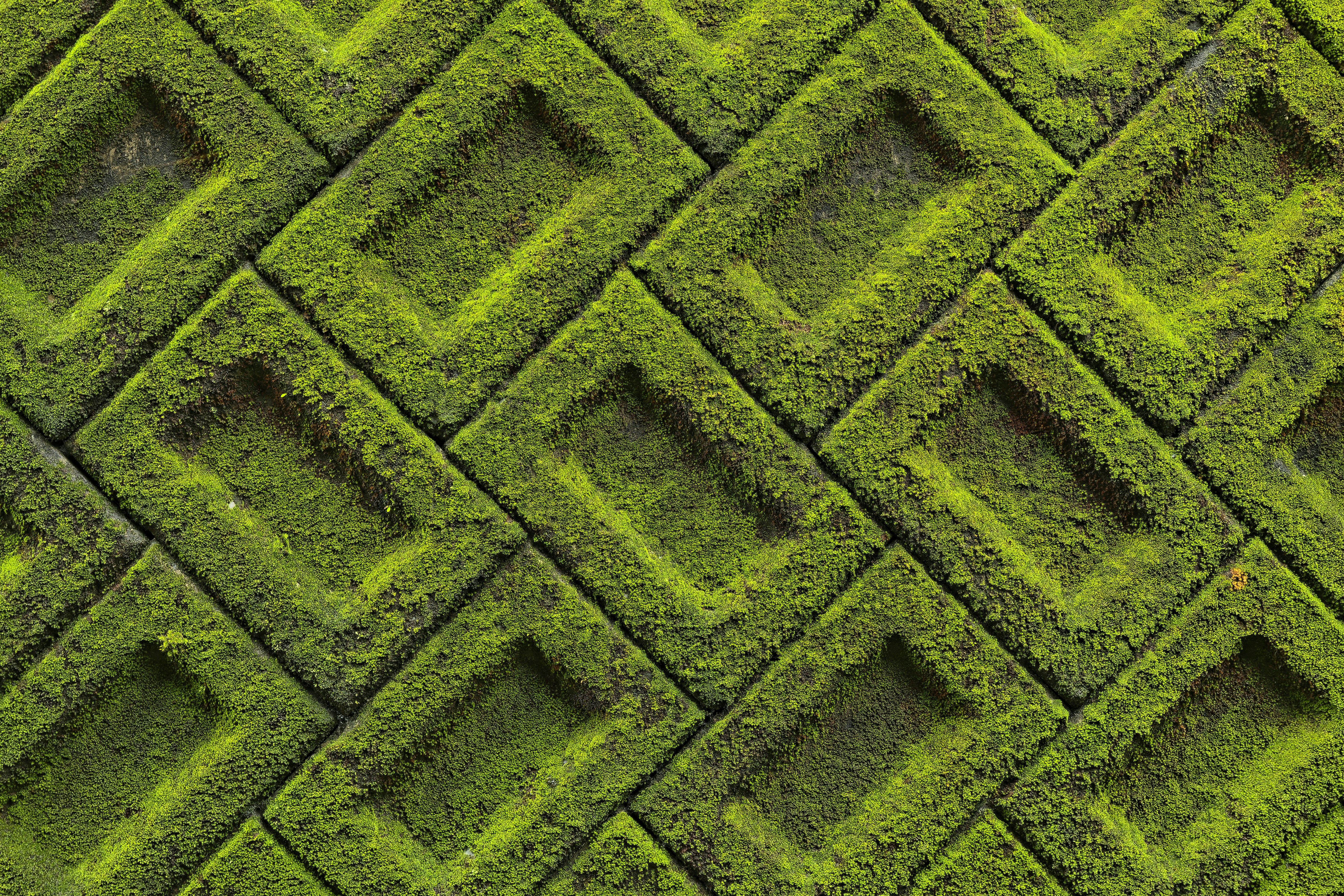 green and black brick wall