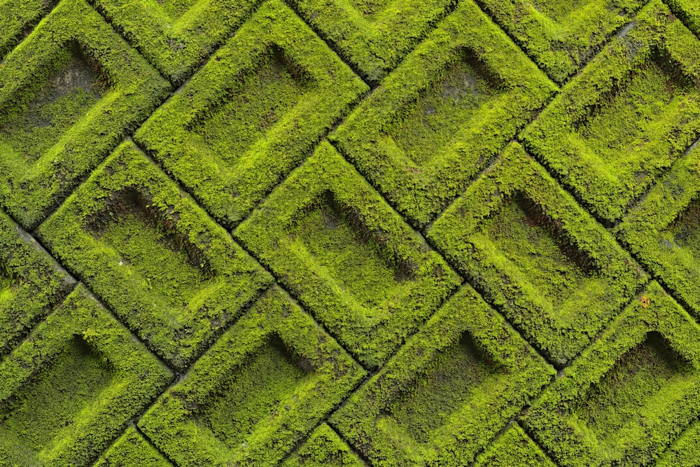 green and black brick wall