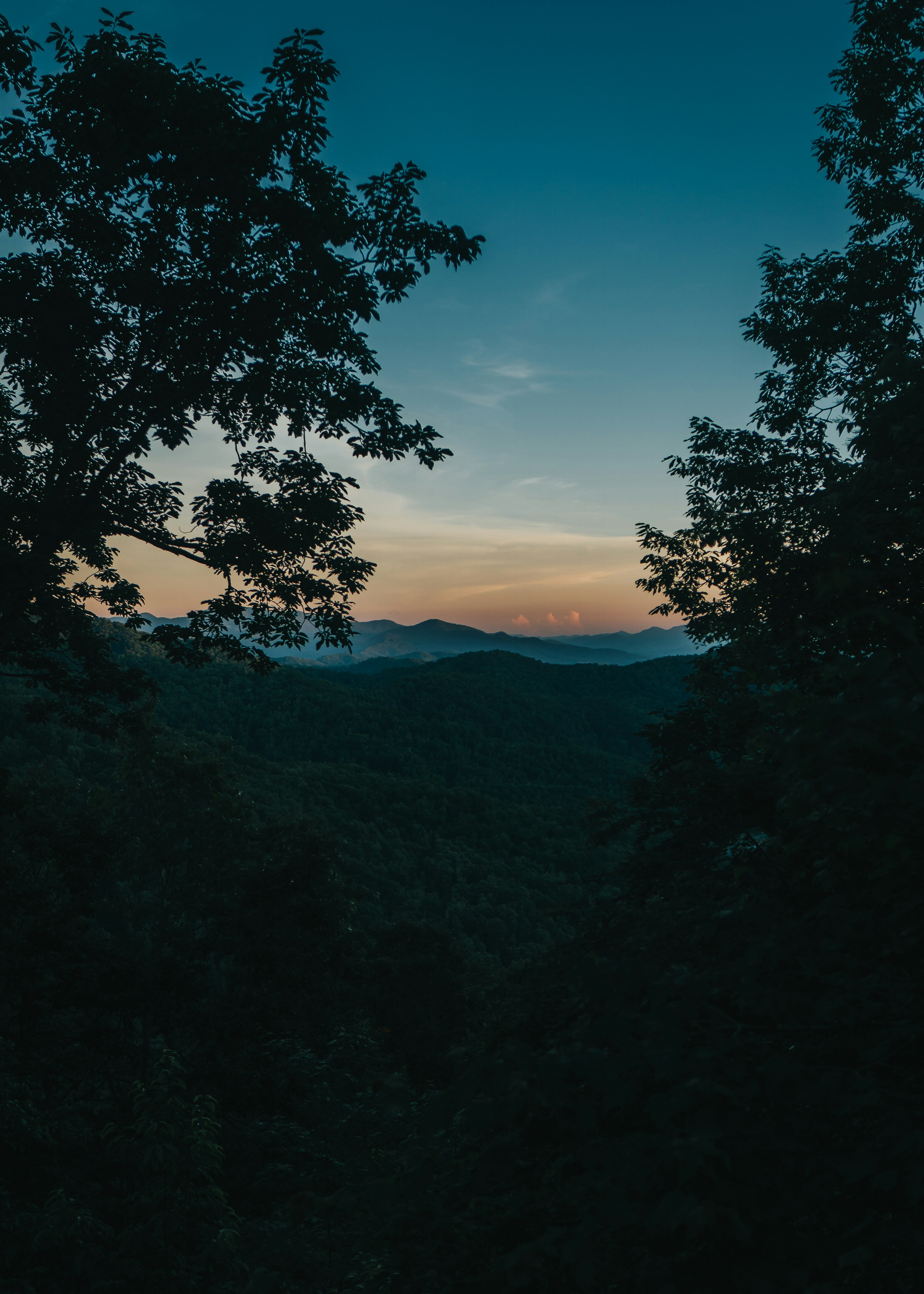 green trees and mountains under blue sky during daytime