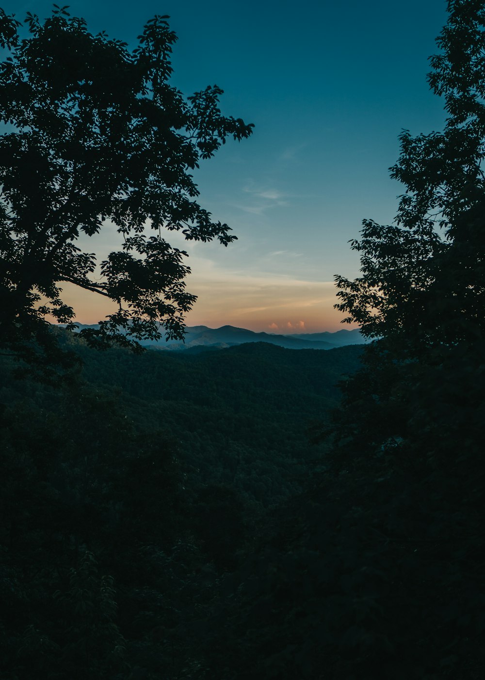 Arbres verts et montagnes sous le ciel bleu pendant la journée