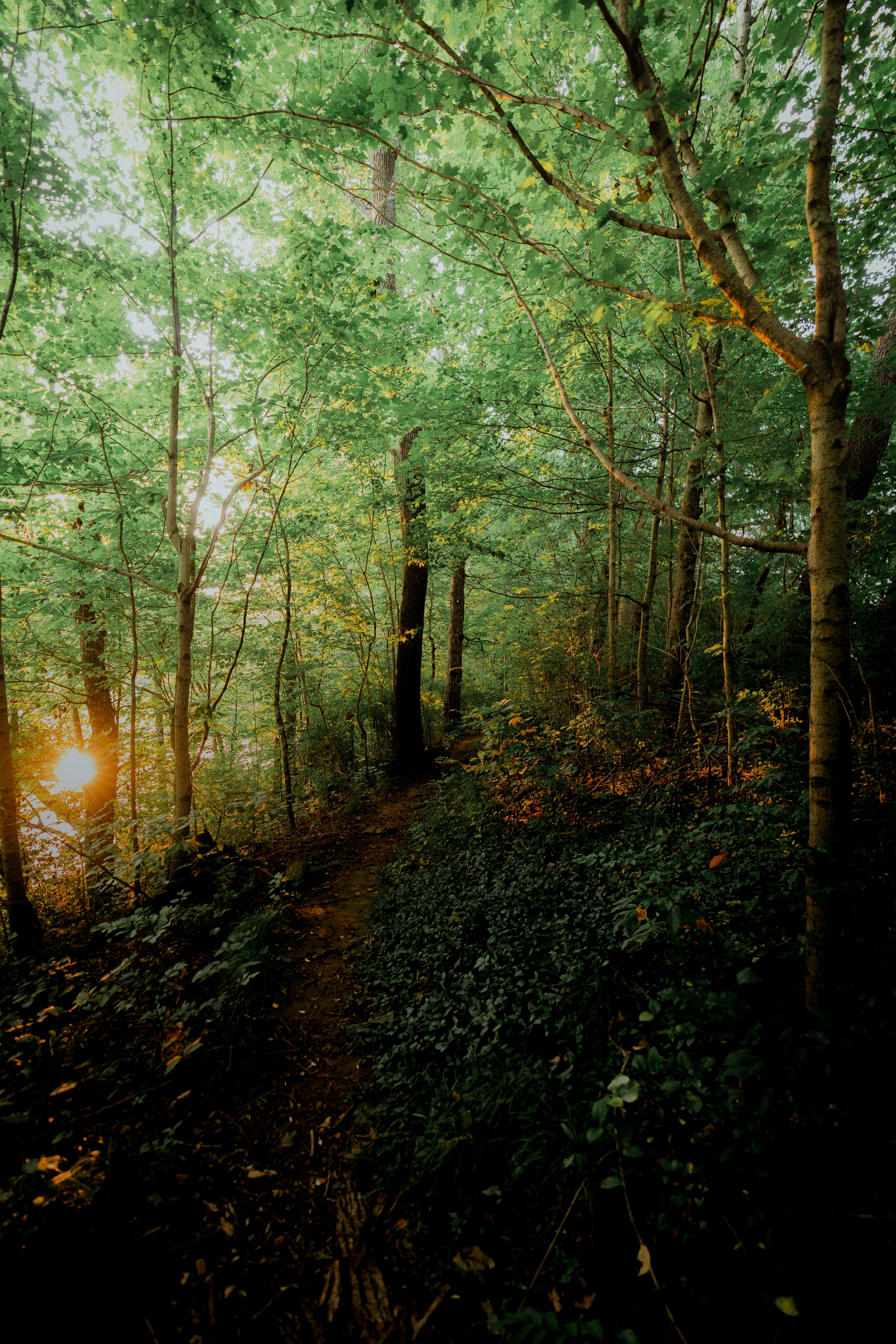 Photo by haroldwainwright