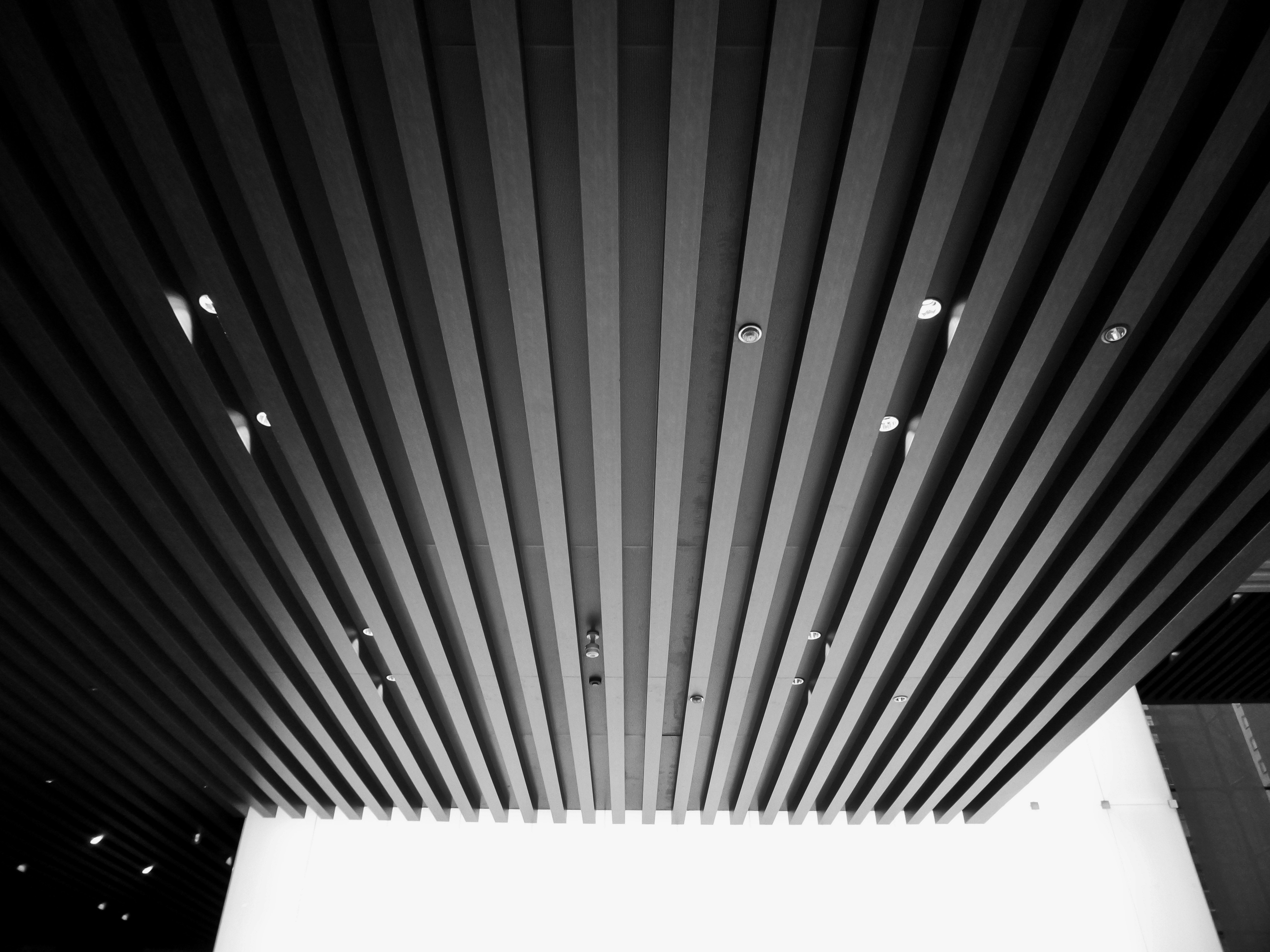 Photo by possessedphotography