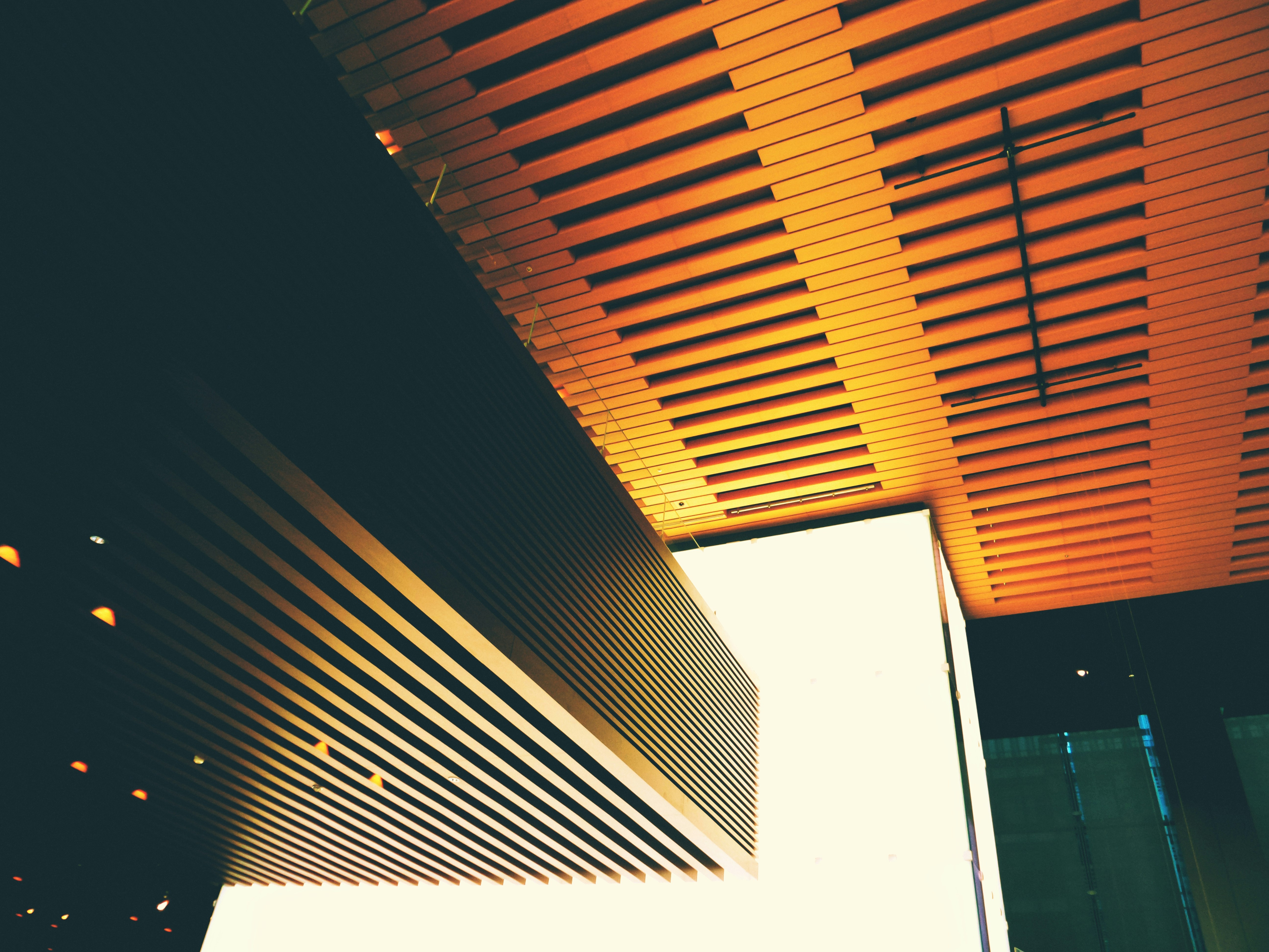 Photo by possessedphotography