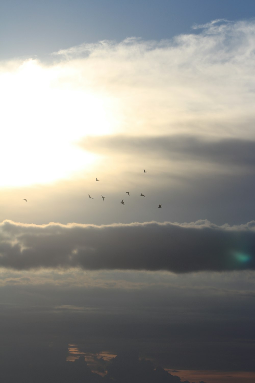 silhouette of birds flying under cloudy sky during daytime