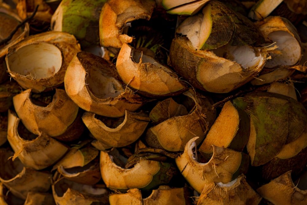 brown and green dried leaves