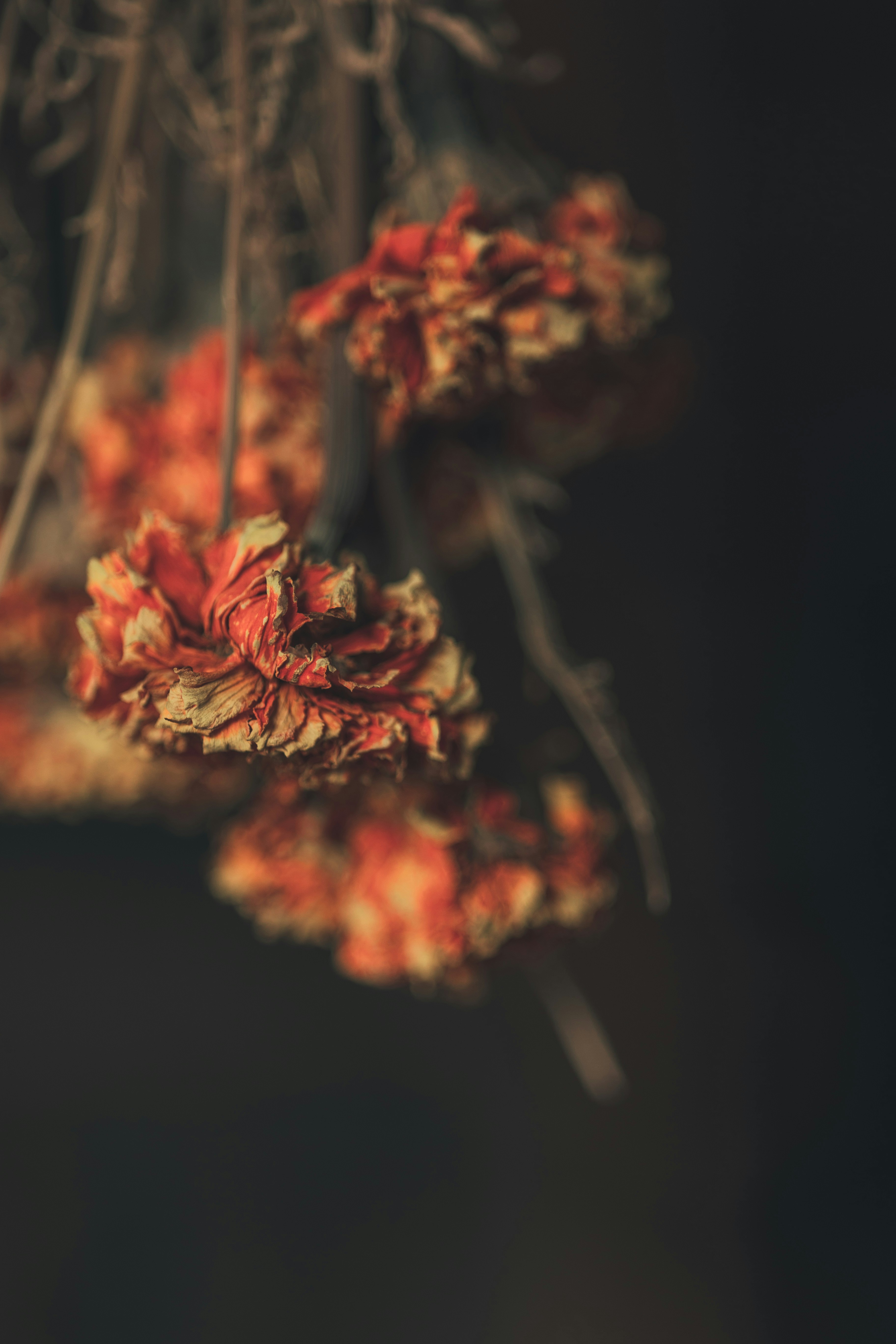 Photo by alex_gruber