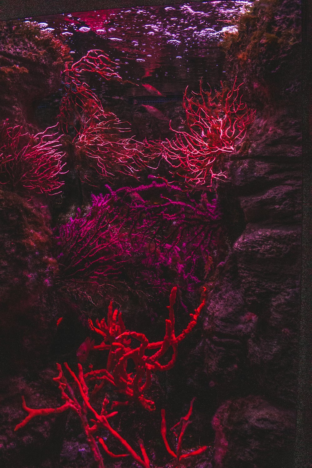 赤と黒の抽象画
