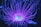purple and white light digital wallpaper