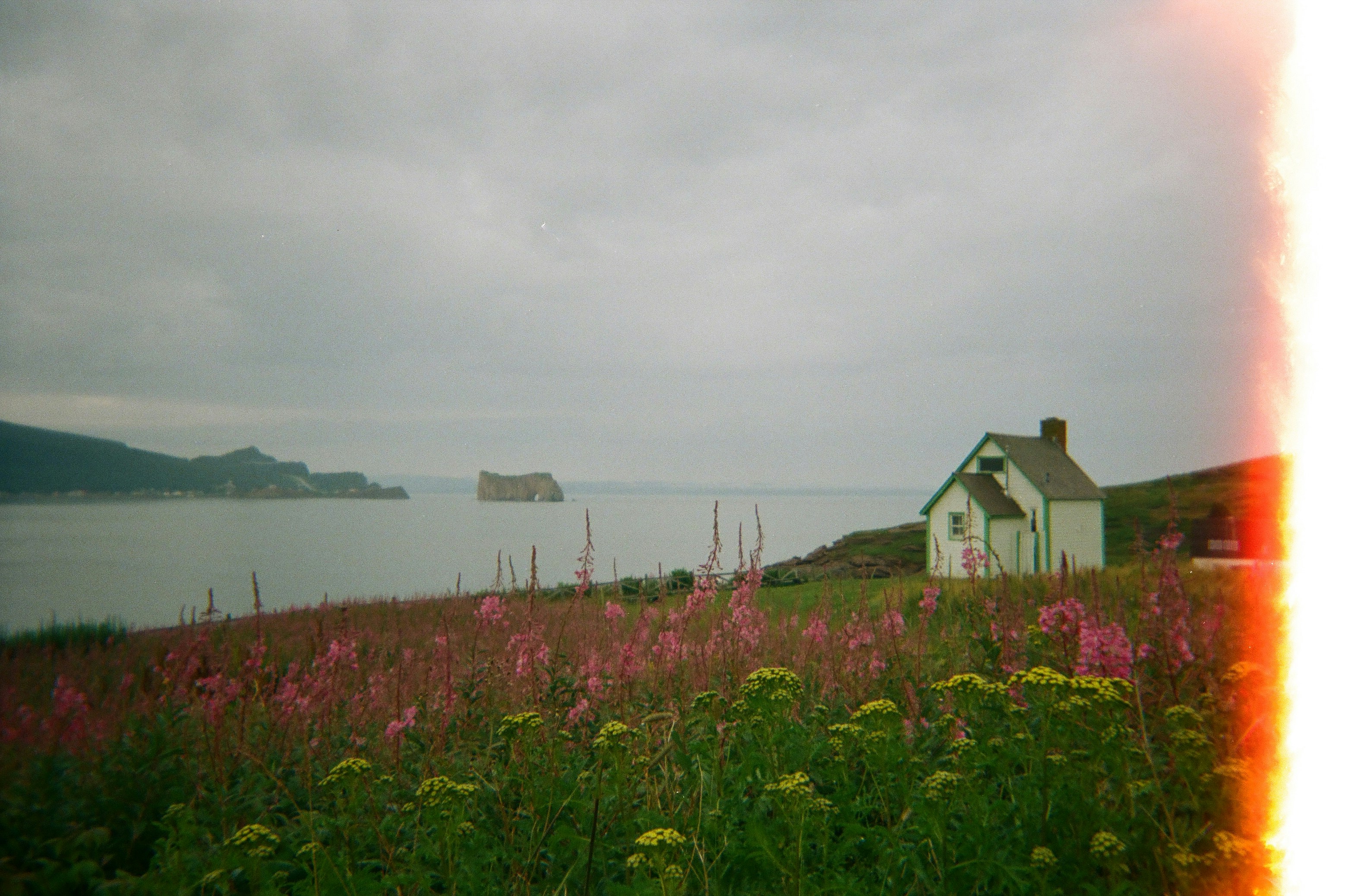 white and brown house near body of water under white sky during daytime
