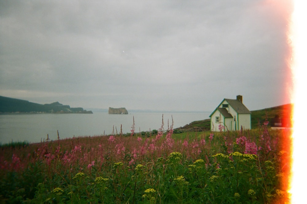 white and brown house near body of water under white sky during daytime