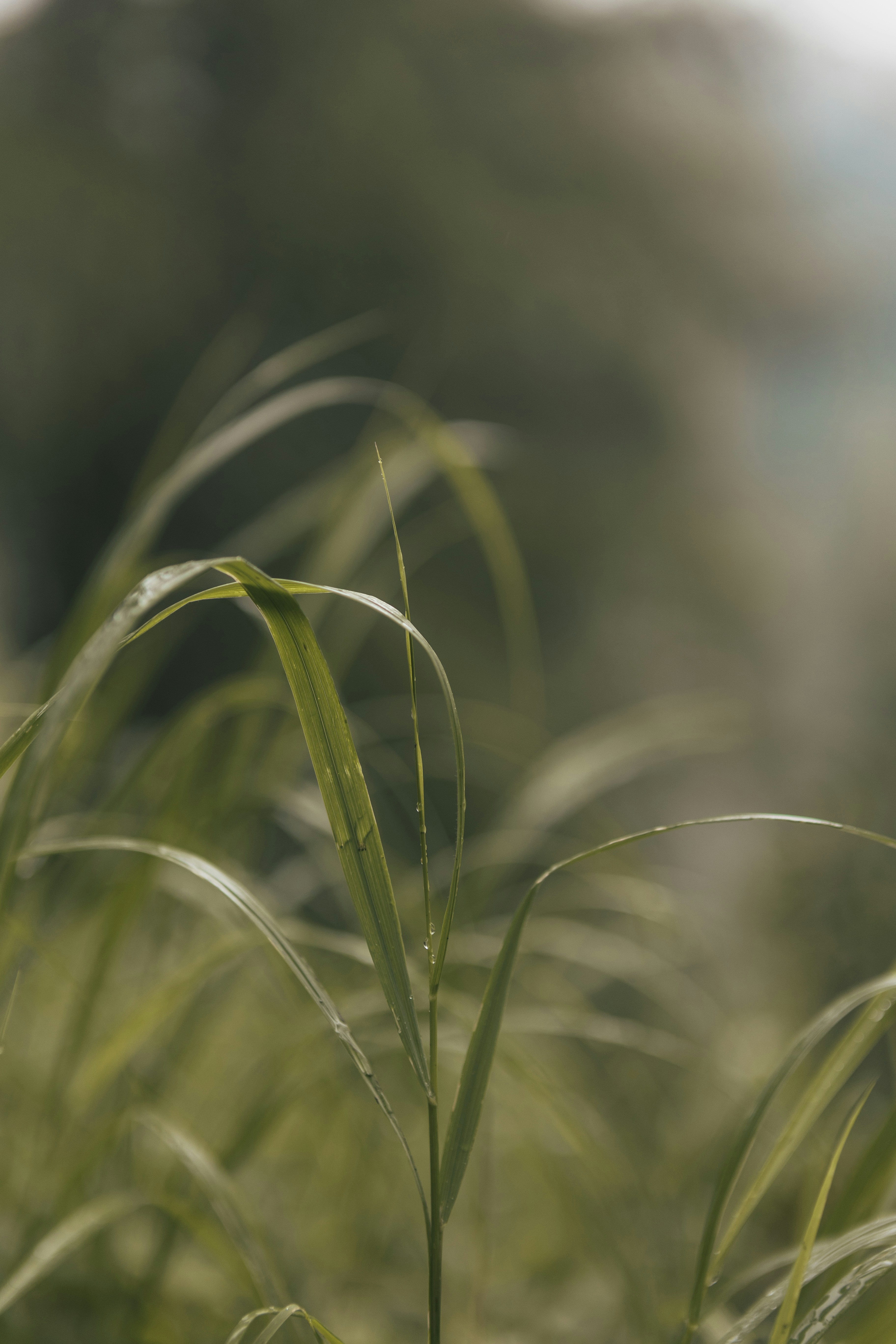 Photo by alex_gruber