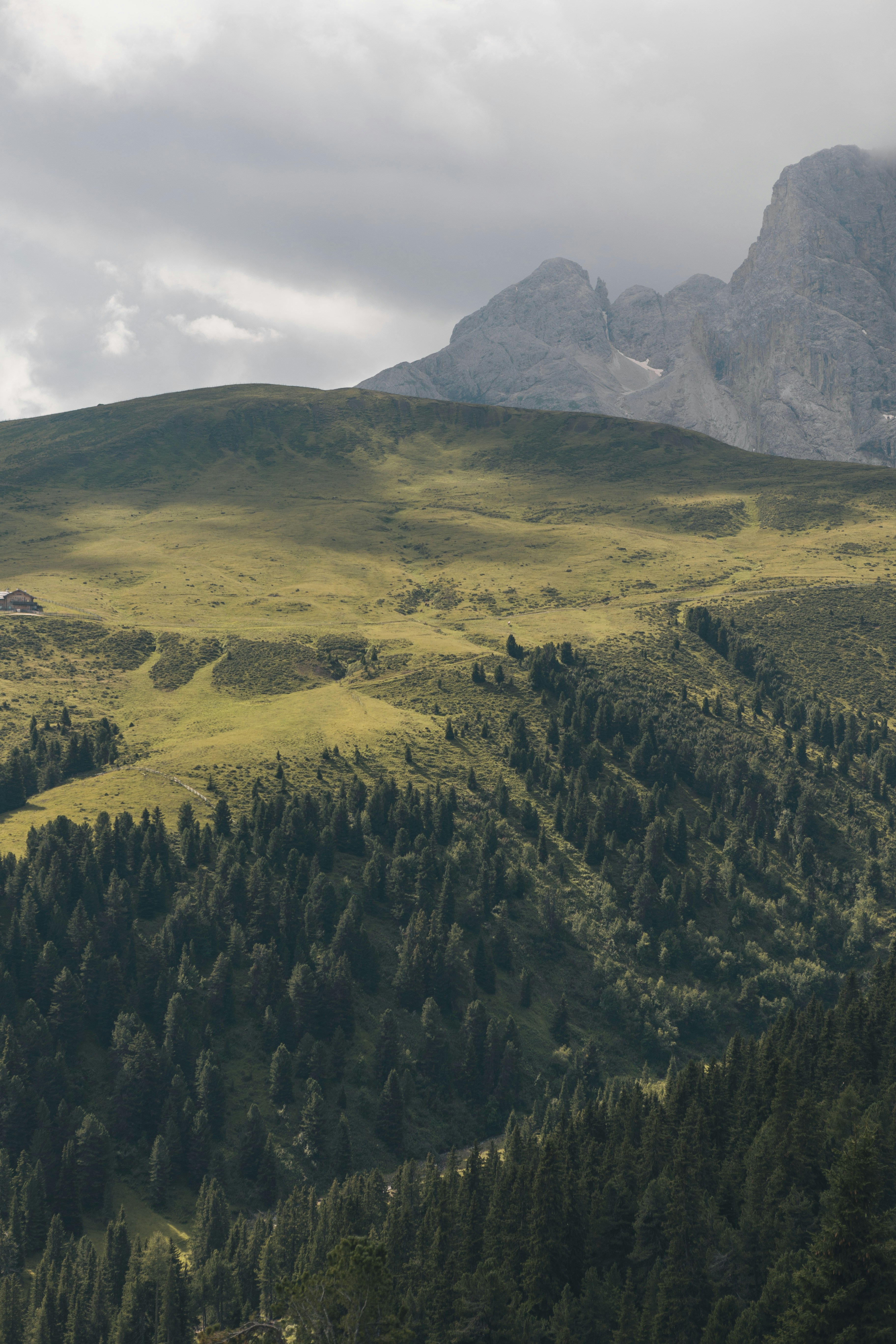 Photo by alex_gruber