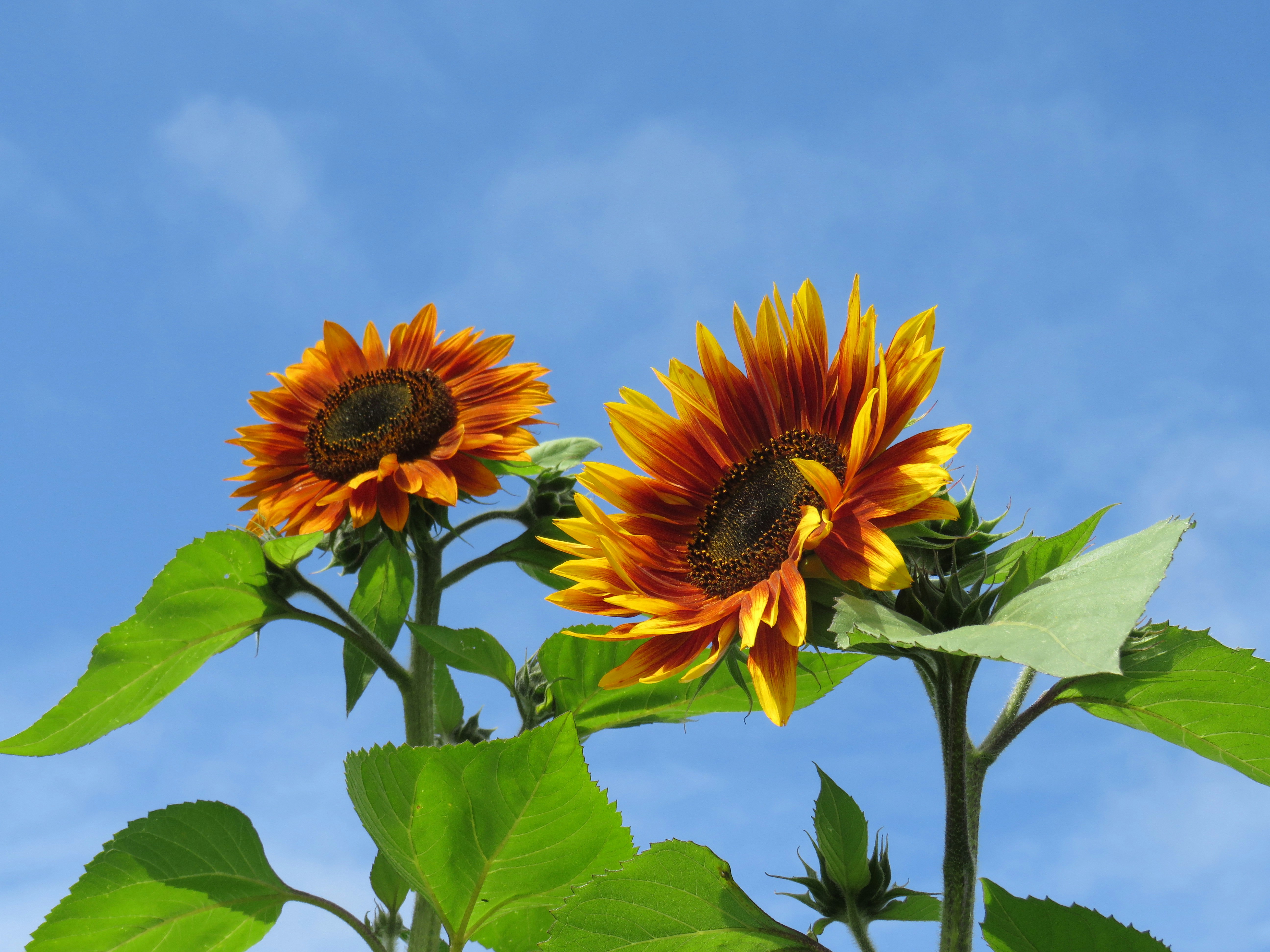 Photo by staceyhfc10