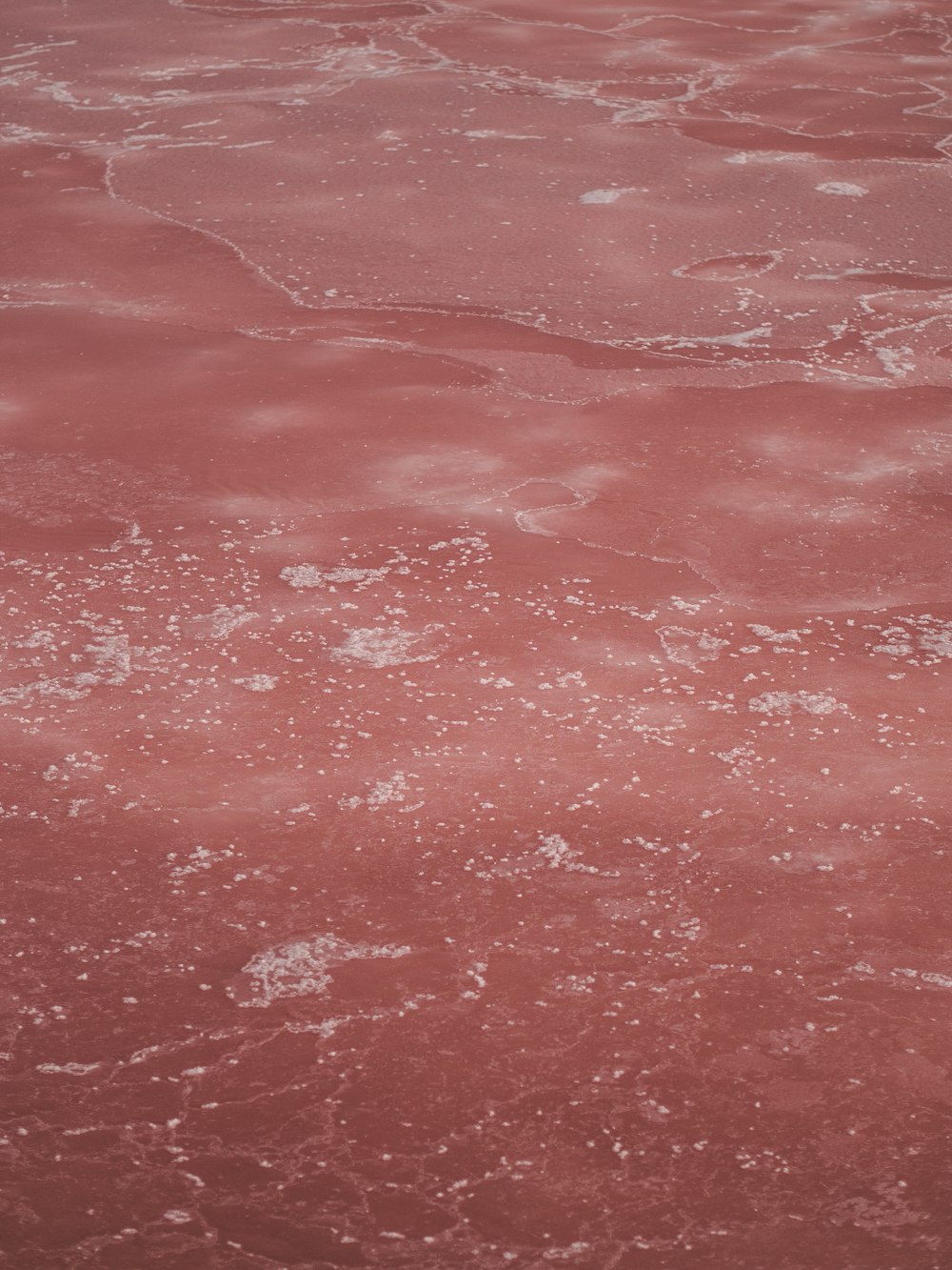 plan d’eau pendant la journée