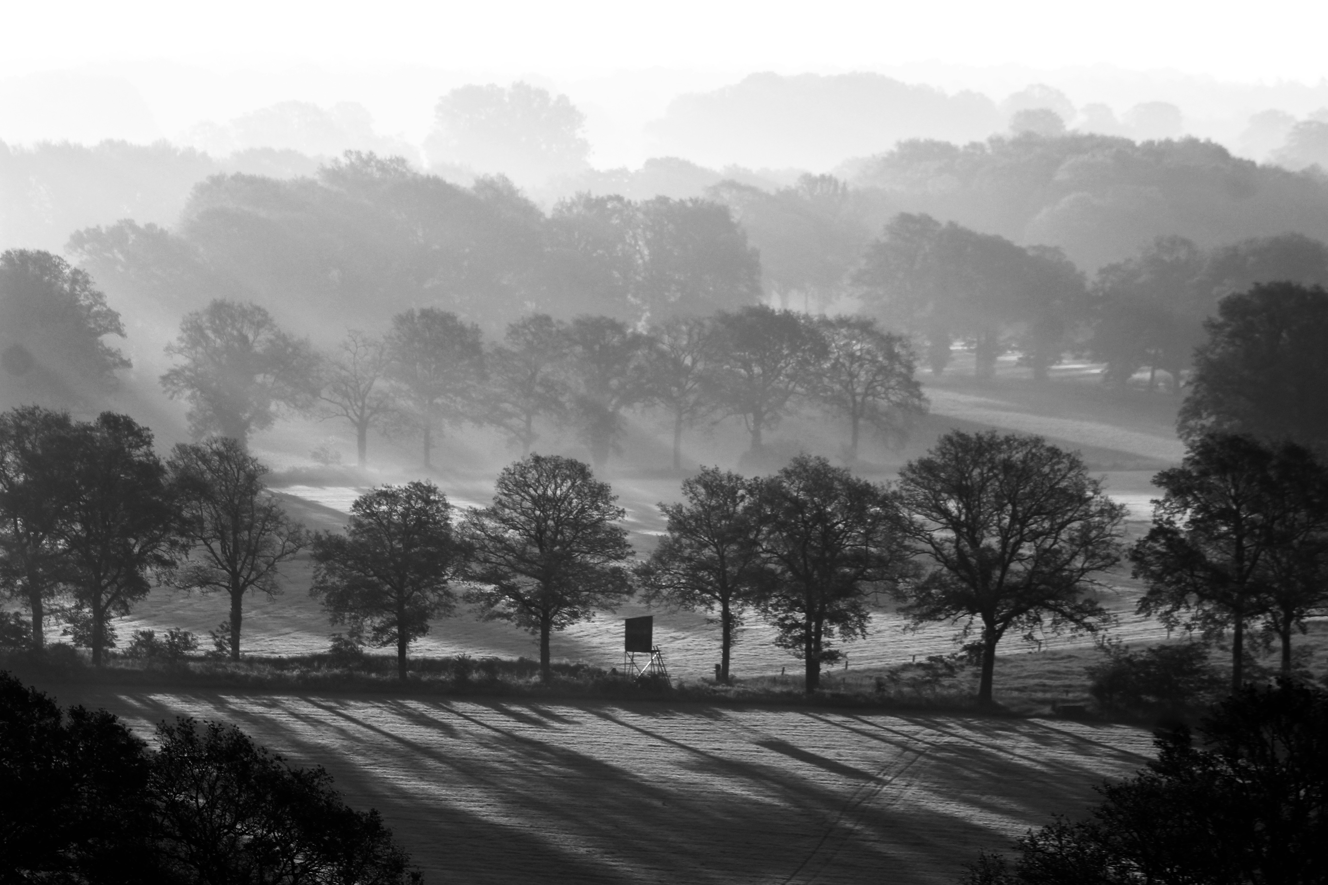 Photo by perryagerbeek