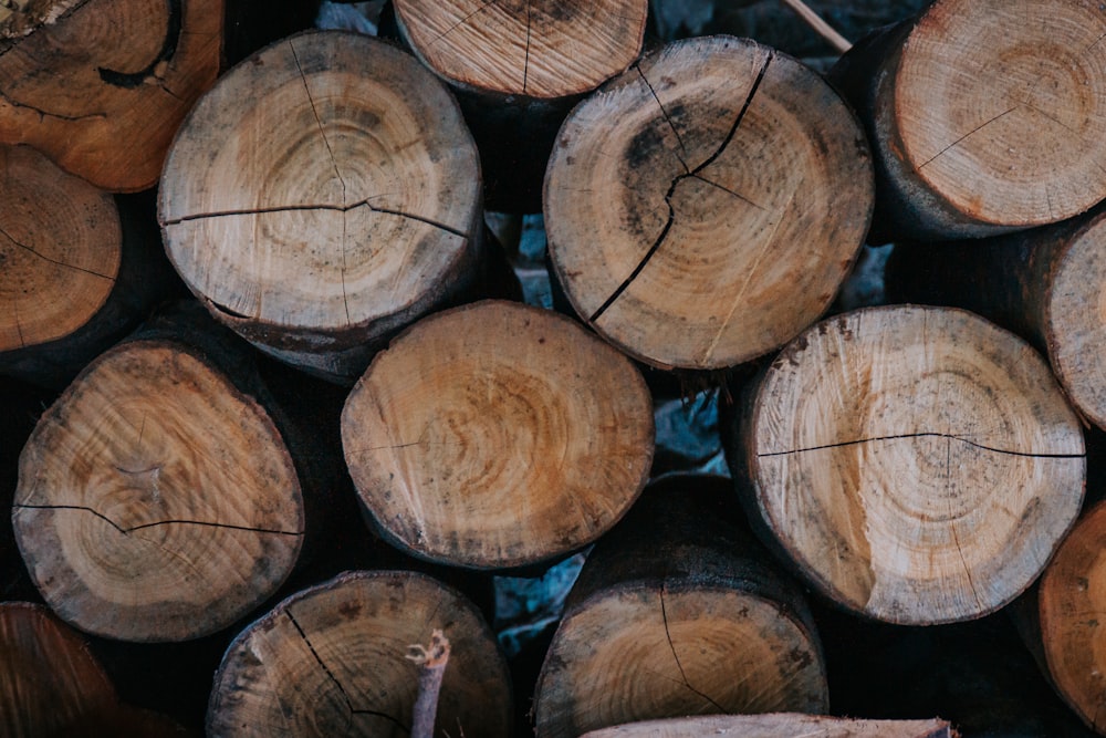 brown and black wood logs