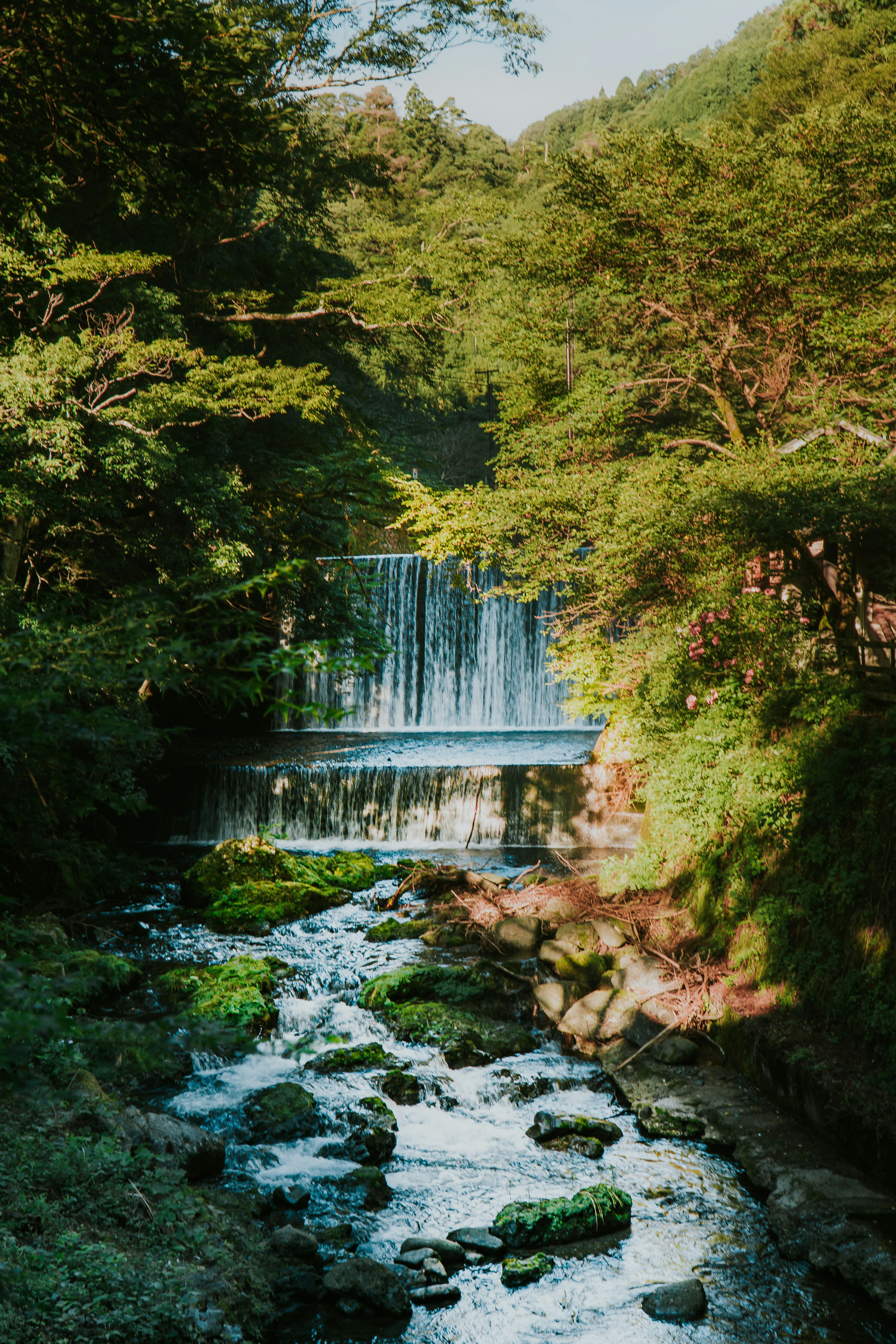 Photo by reyvenshots