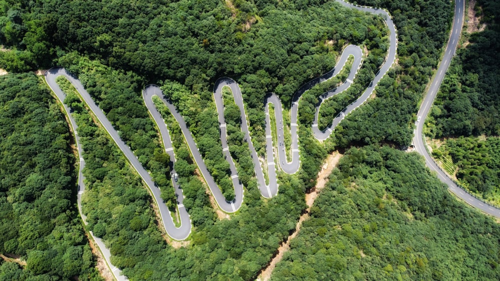 a winding road in the middle of a forest