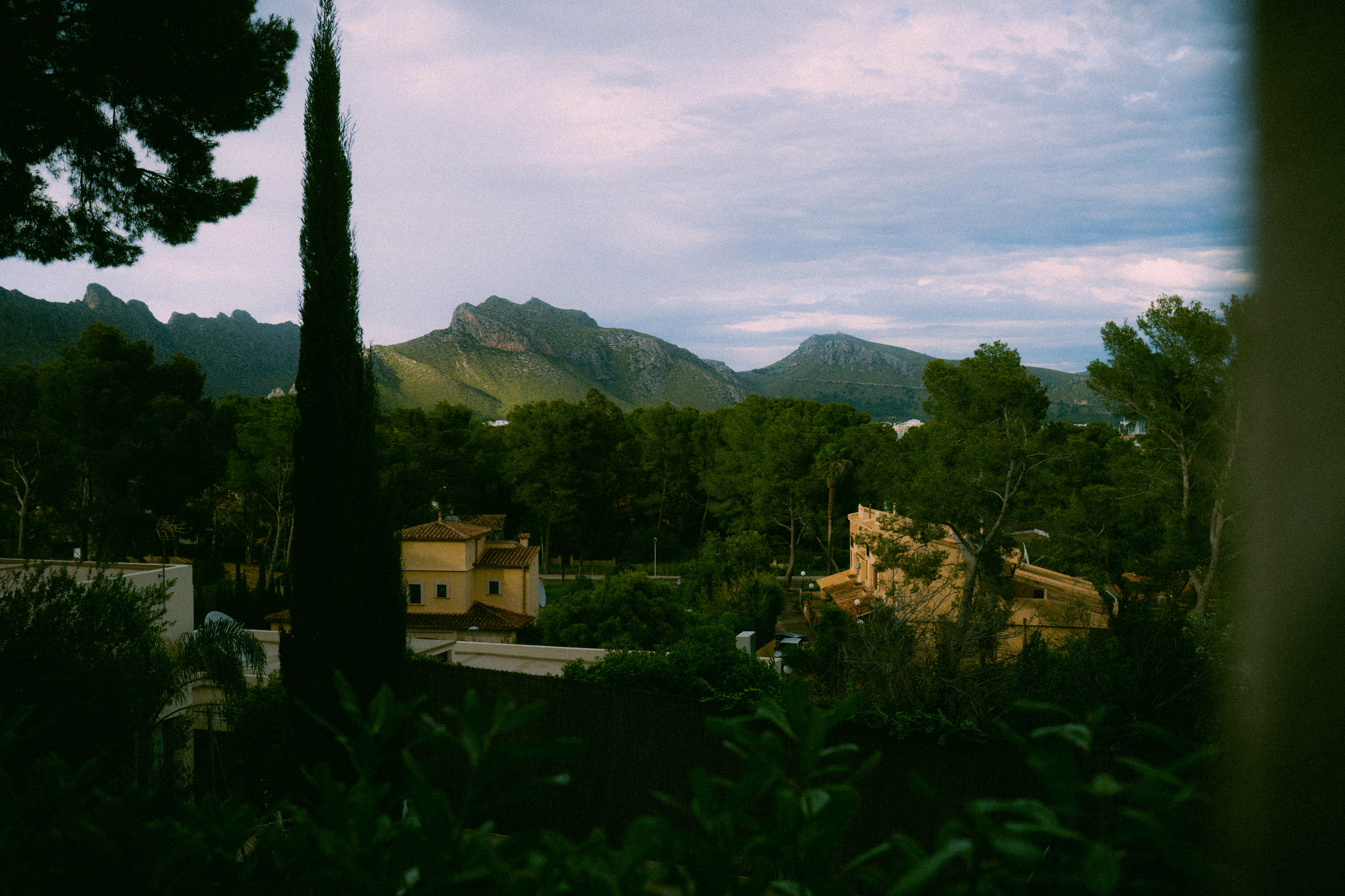 green trees near mountain under cloudy sky during daytime