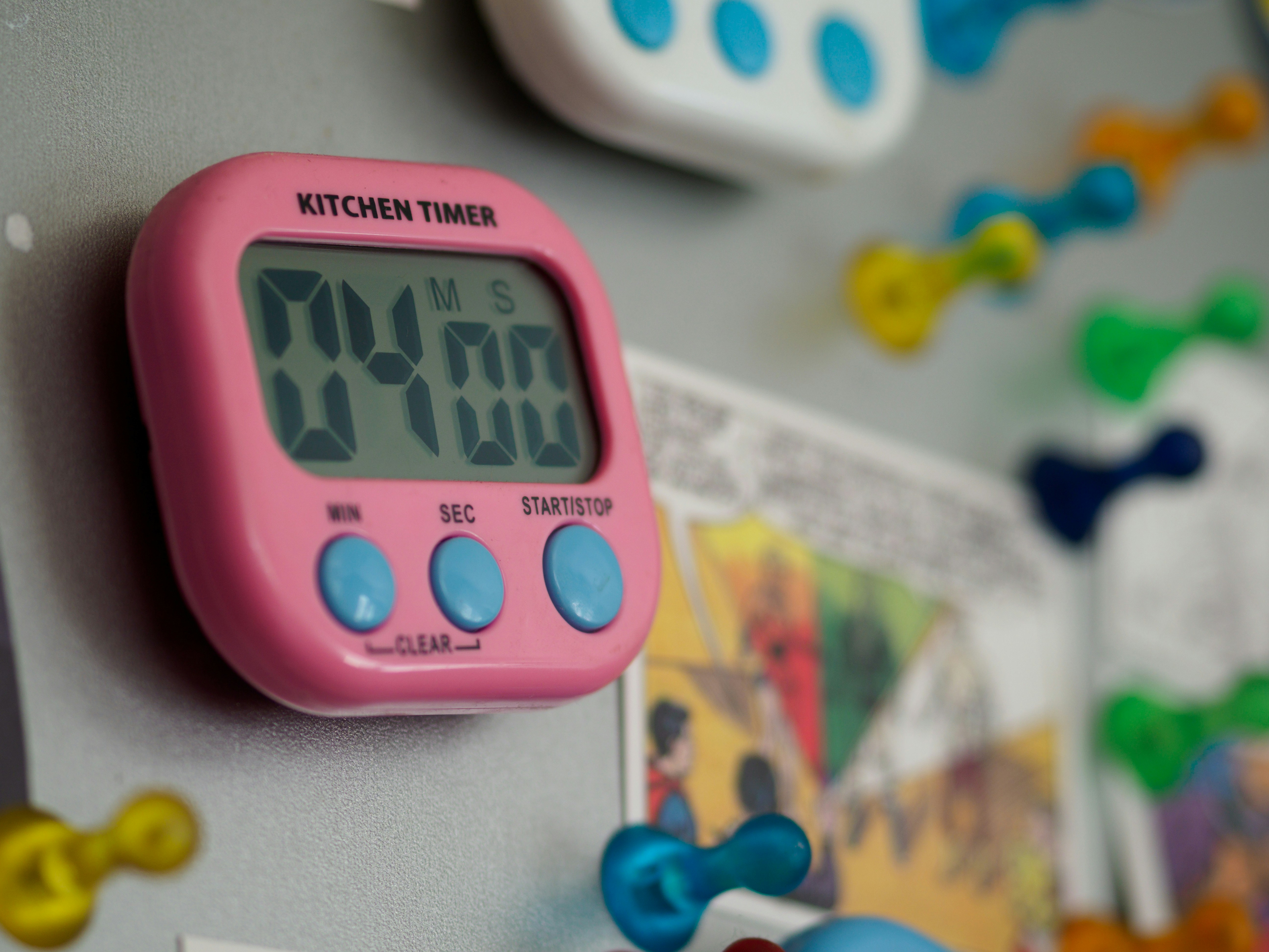 Mojetto puppy potty training timer