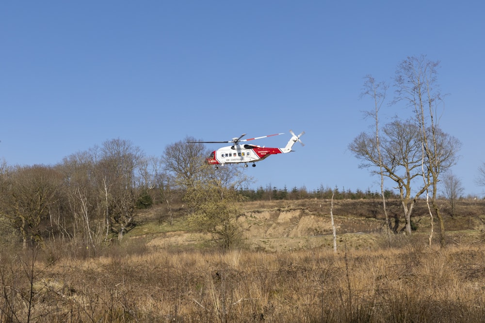 Avión blanco y rojo en el campo de hierba marrón durante el día