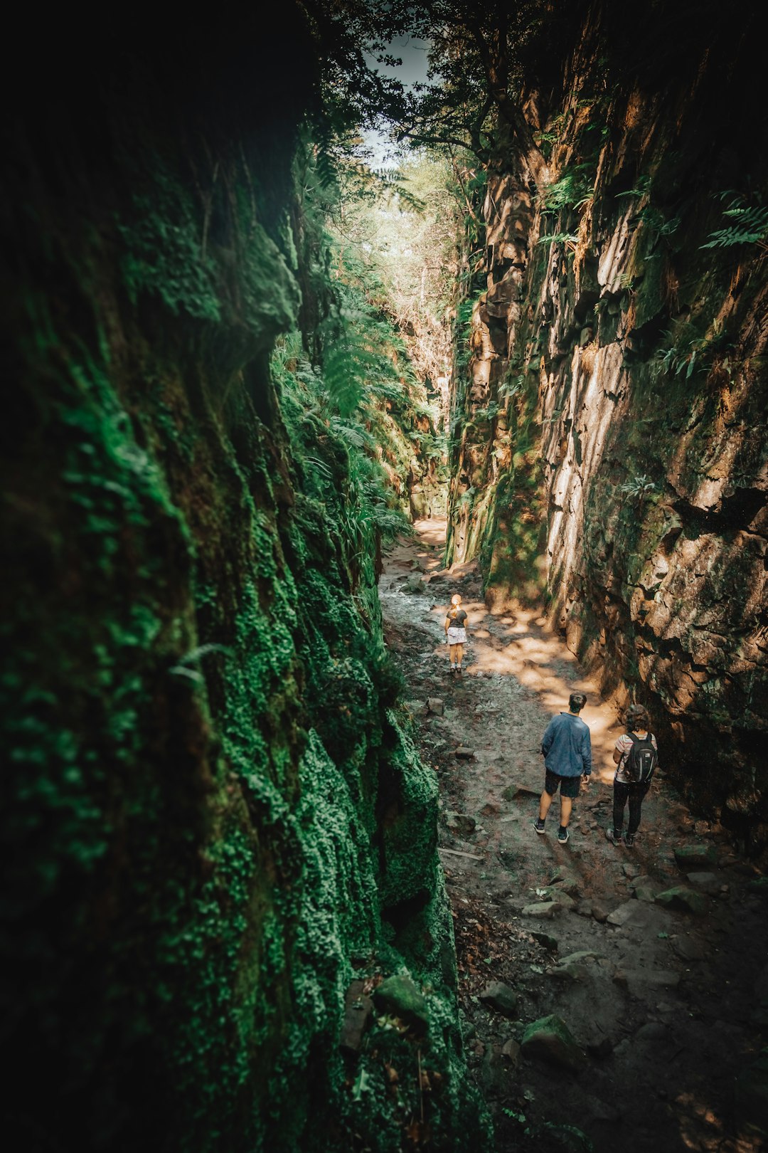 people walking on rocky road between green moss covered rocks during daytime