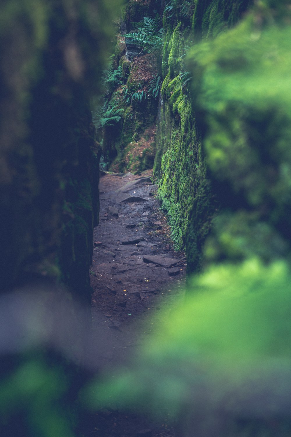 Puente de piedra marrón en medio de la hierba verde