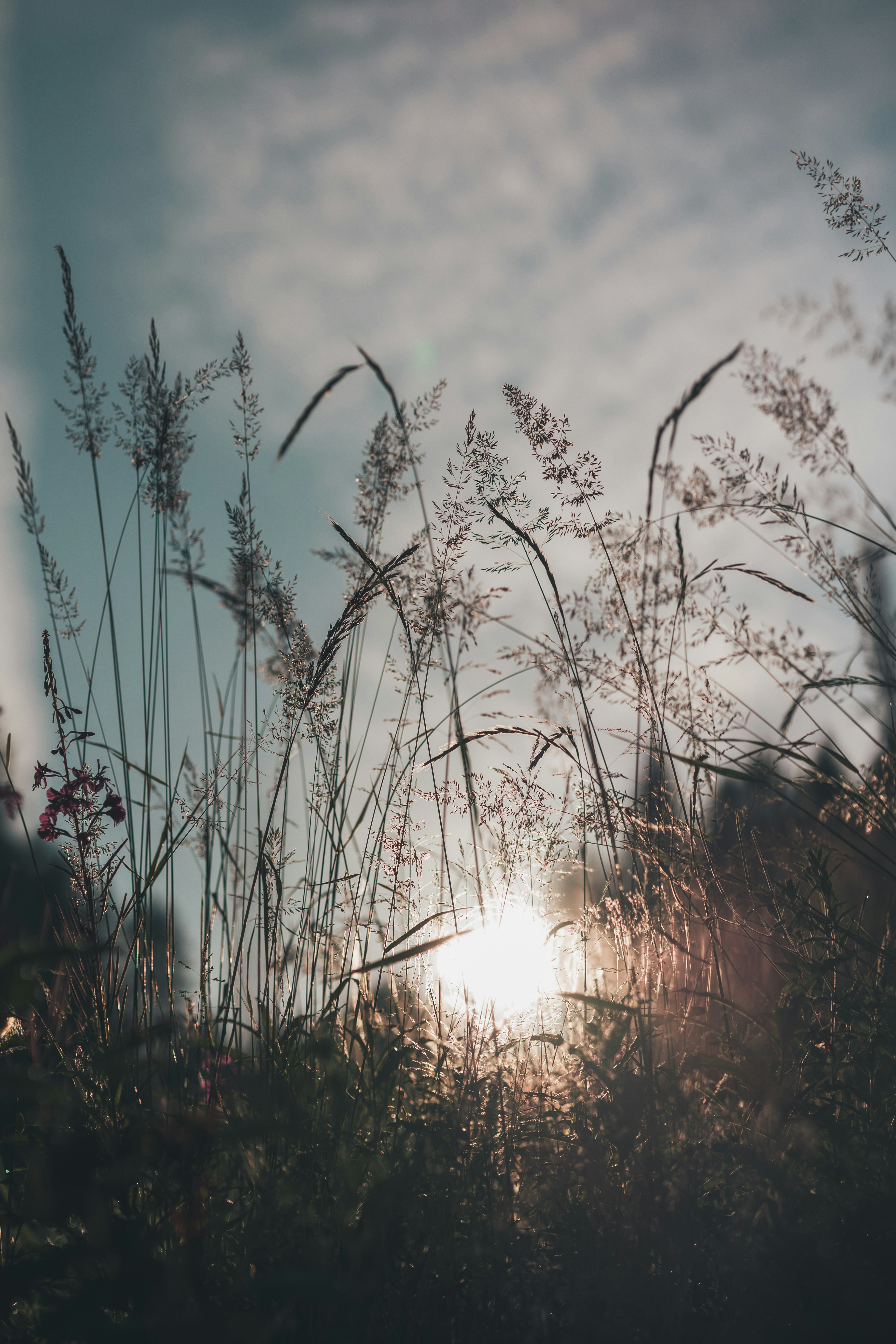 Photo by alex_gruber