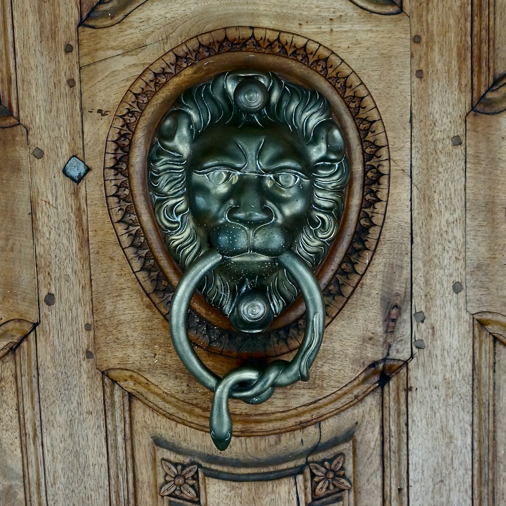 brass lion door handle on brown wooden door
