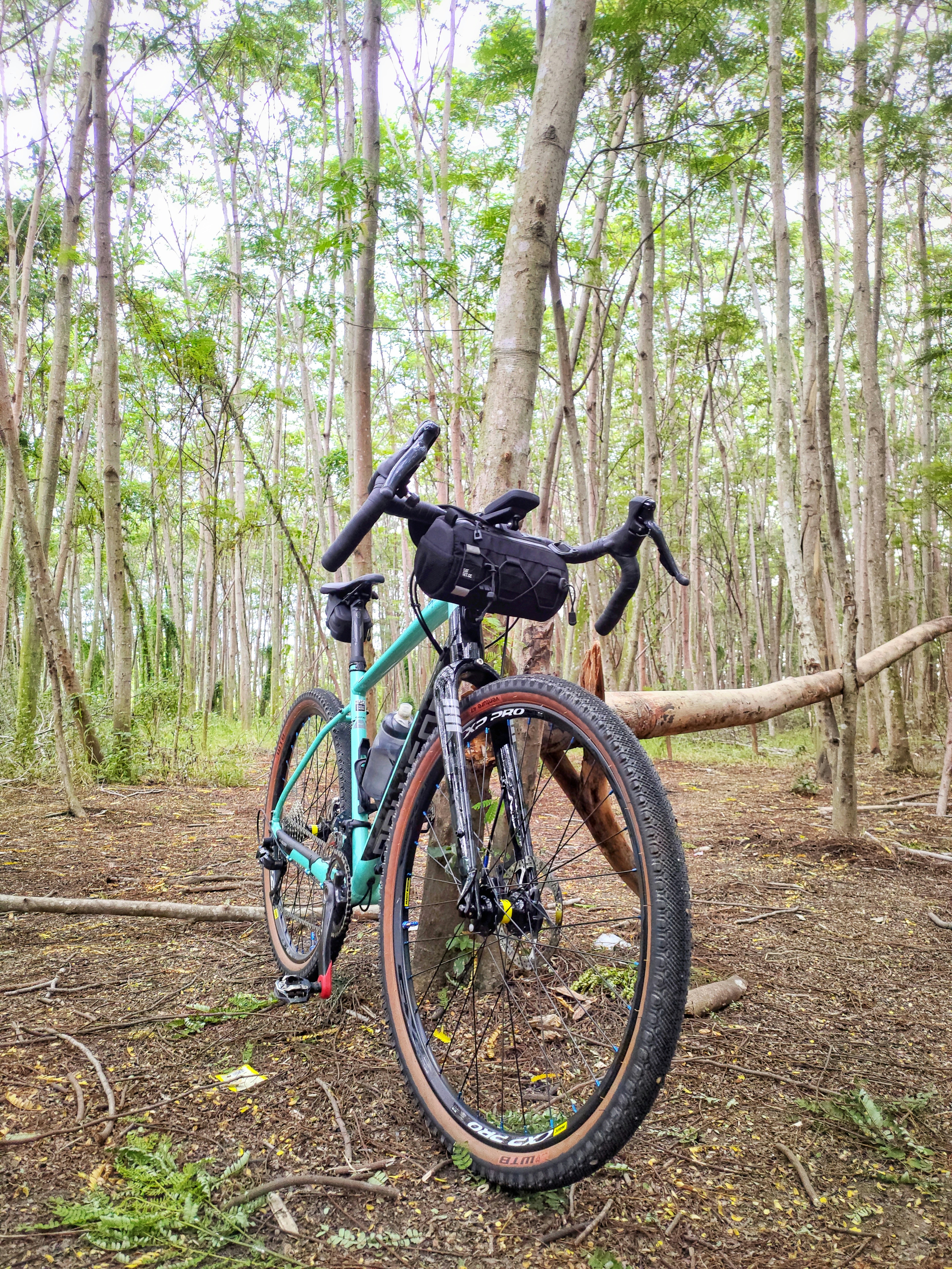 blue and black bicycle on brown dirt road in forest during daytime