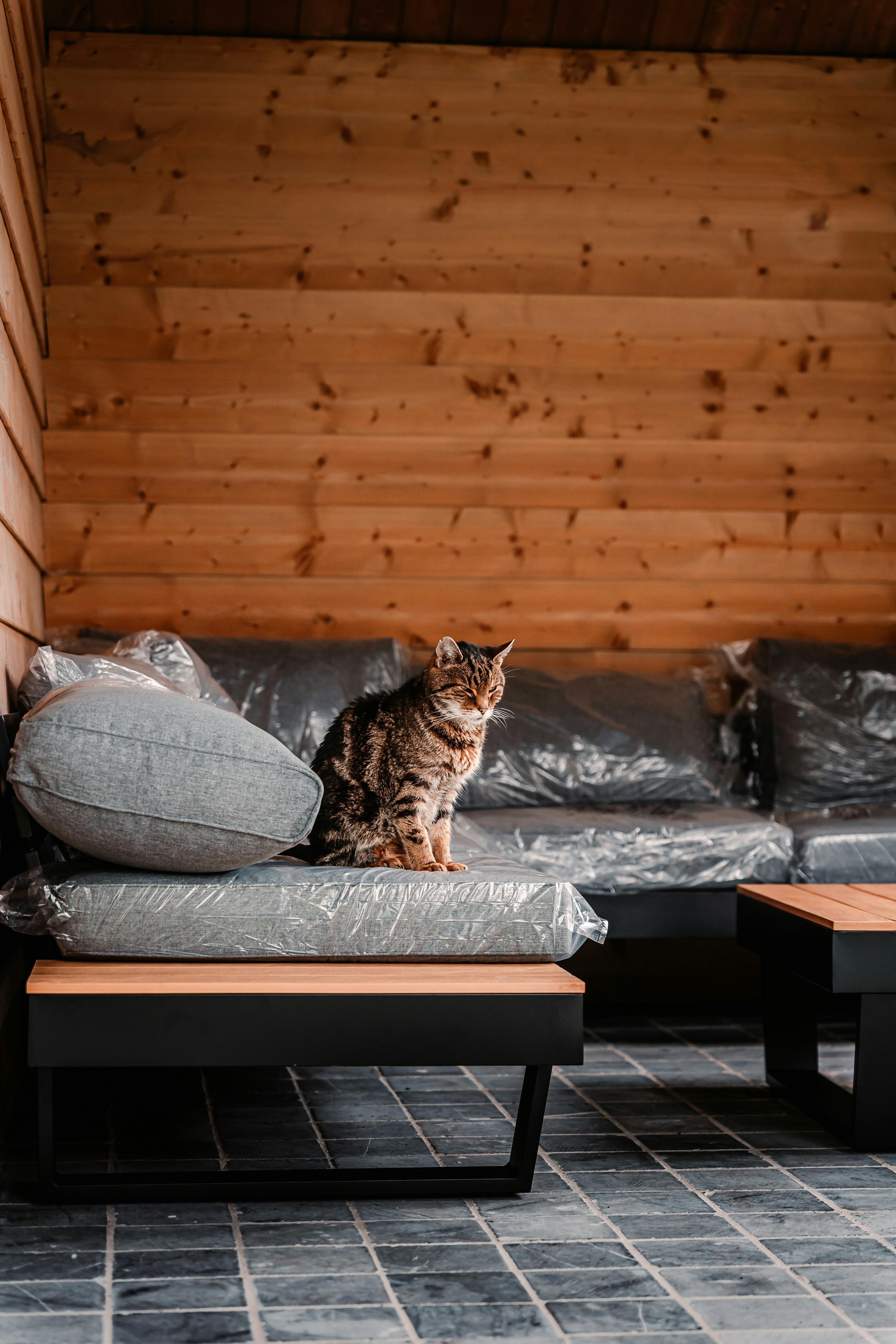 Making Comfort a Priority (image credits: unsplash)