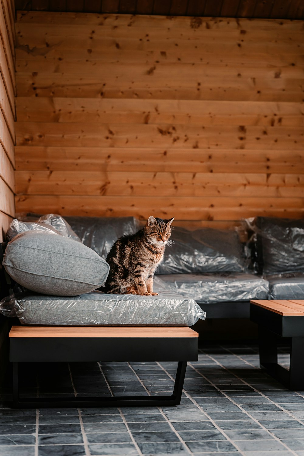 Braune Tabby-Katze auf braunem Holztisch