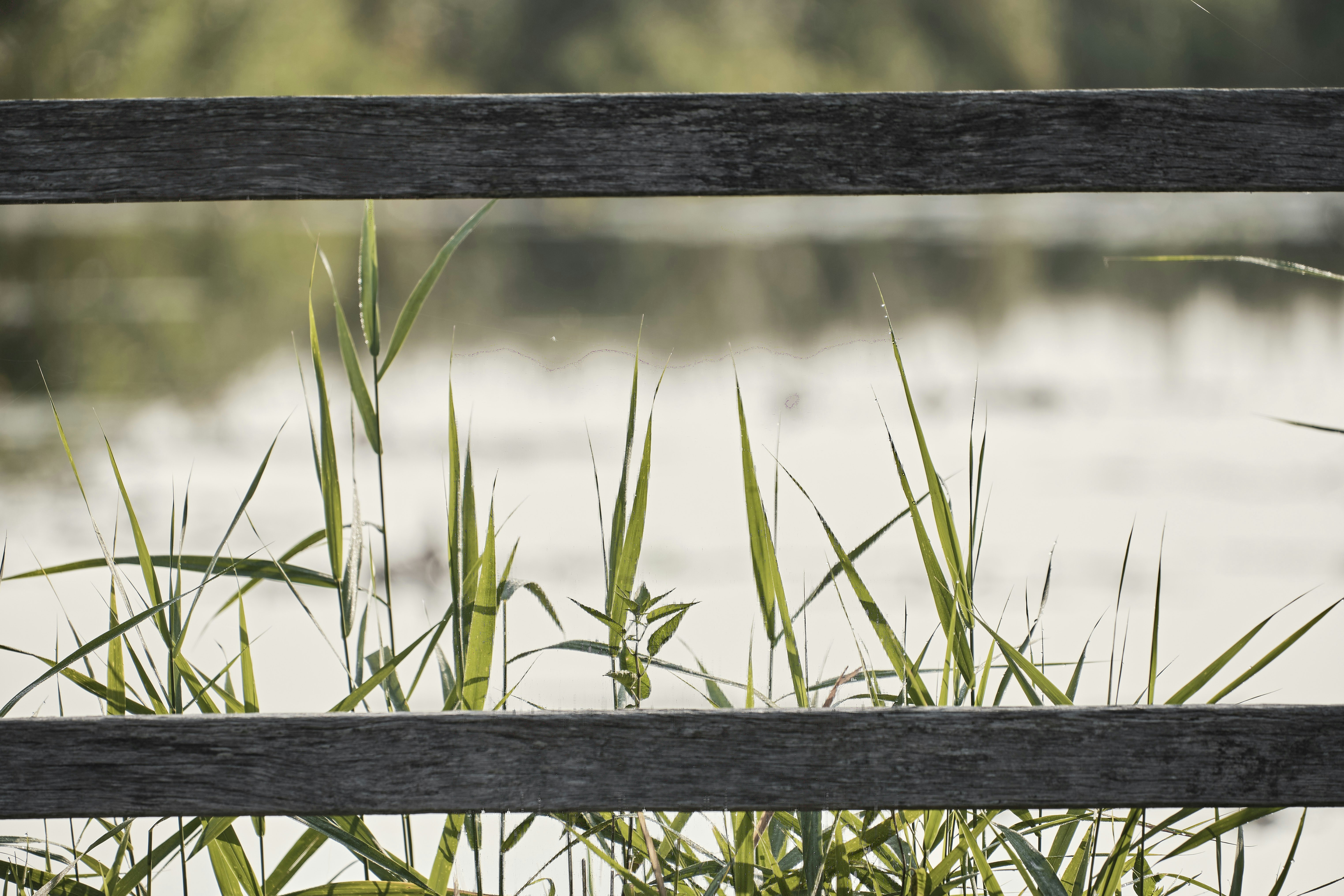 Photo by rolf_schmidbauer