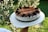 A round cake with a creamy white layer, topped with chocolate shavings and decorated with cookies, is held on a white tray. The background features green leaves and a blurred natural setting.