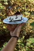 A hand is holding a white plate with a slice of Oreo cheesecake. The cheesecake has a cream layer with chunks of Oreo cookies and a chocolate base. A whole Oreo cookie is placed on top as decoration. The background features blurred foliage, creating a natural, serene setting.