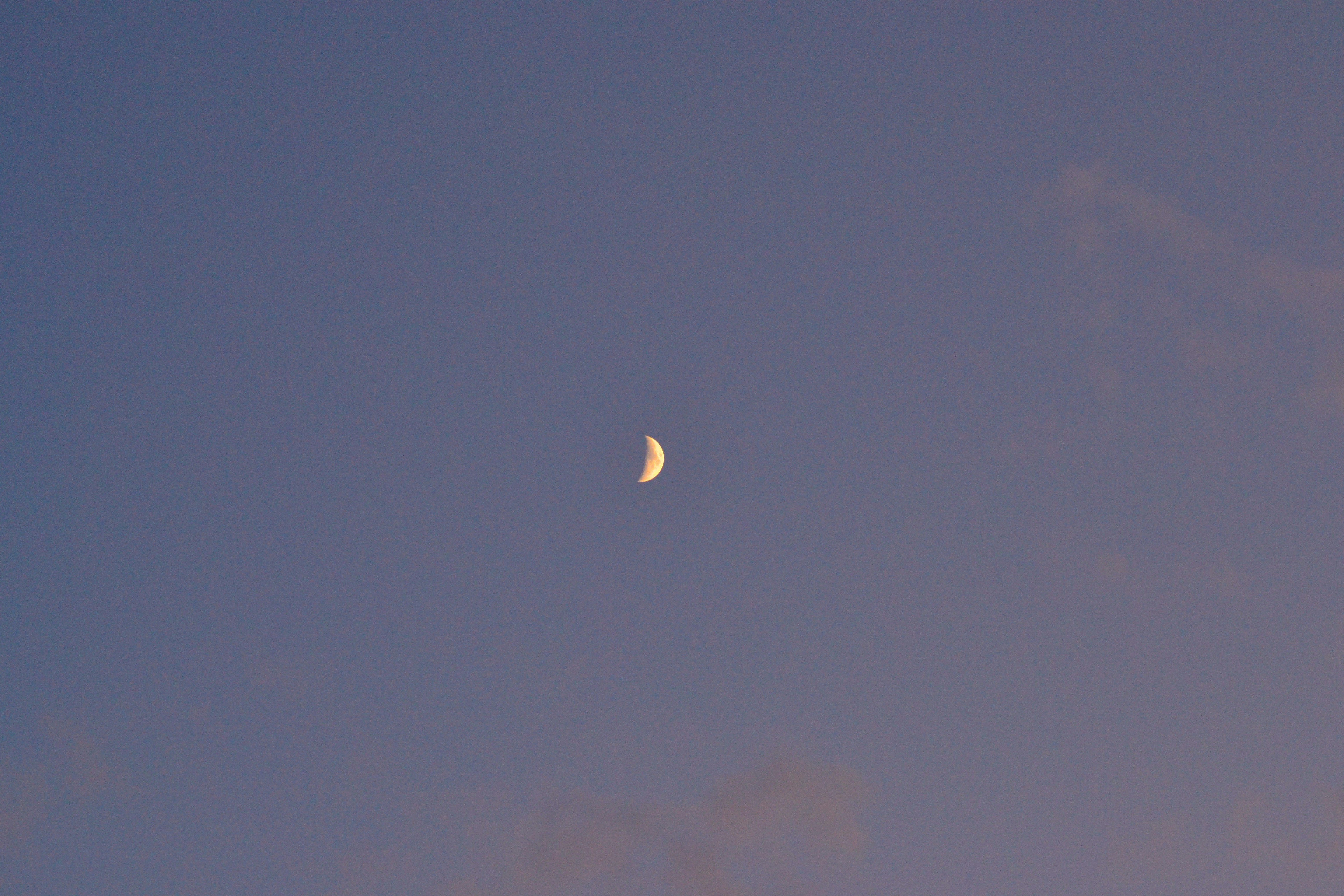 Photo by felixgething