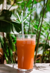 A tall glass filled with orange juice, a straw protruding from the top. It sits on a sunlit surface amidst lush green foliage, suggesting a refreshing, tropical setting.