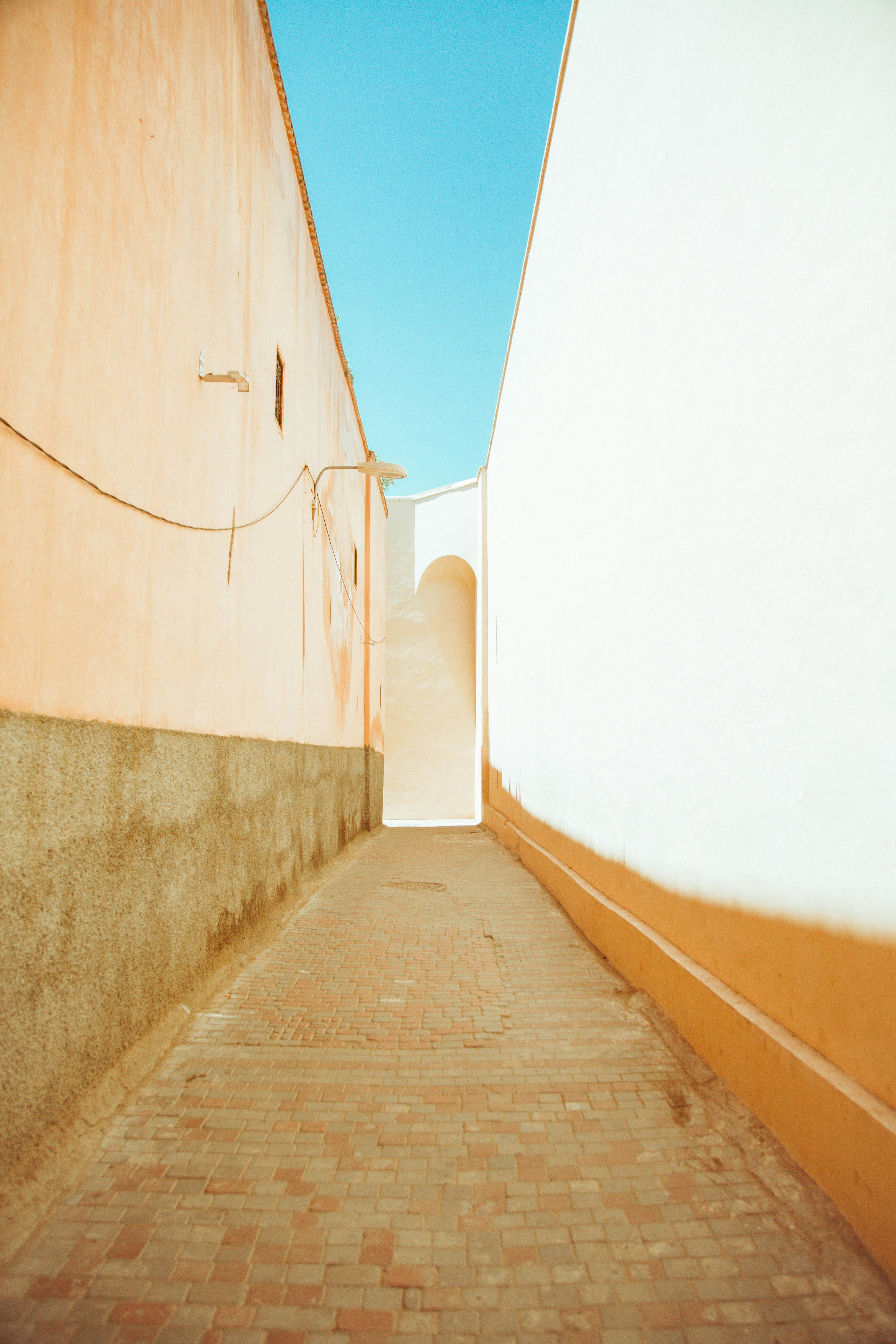 brown wooden pathway between white wall