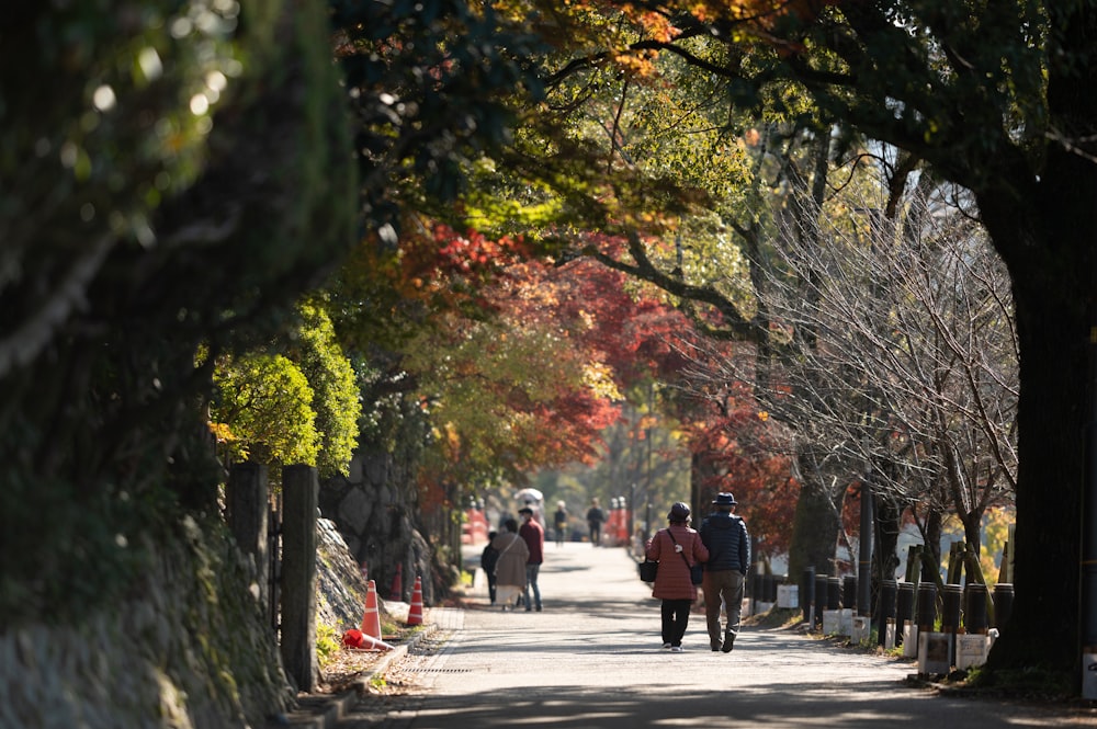 people walking on sidewalk during daytime