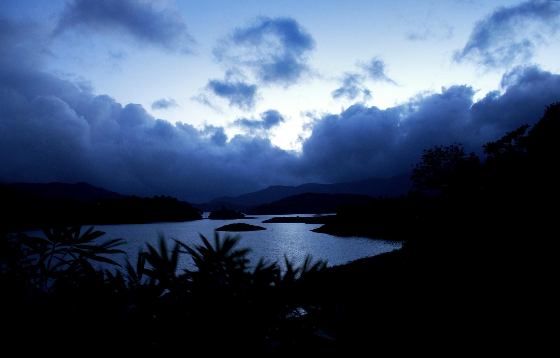 green trees near body of water under blue sky and white clouds during daytime