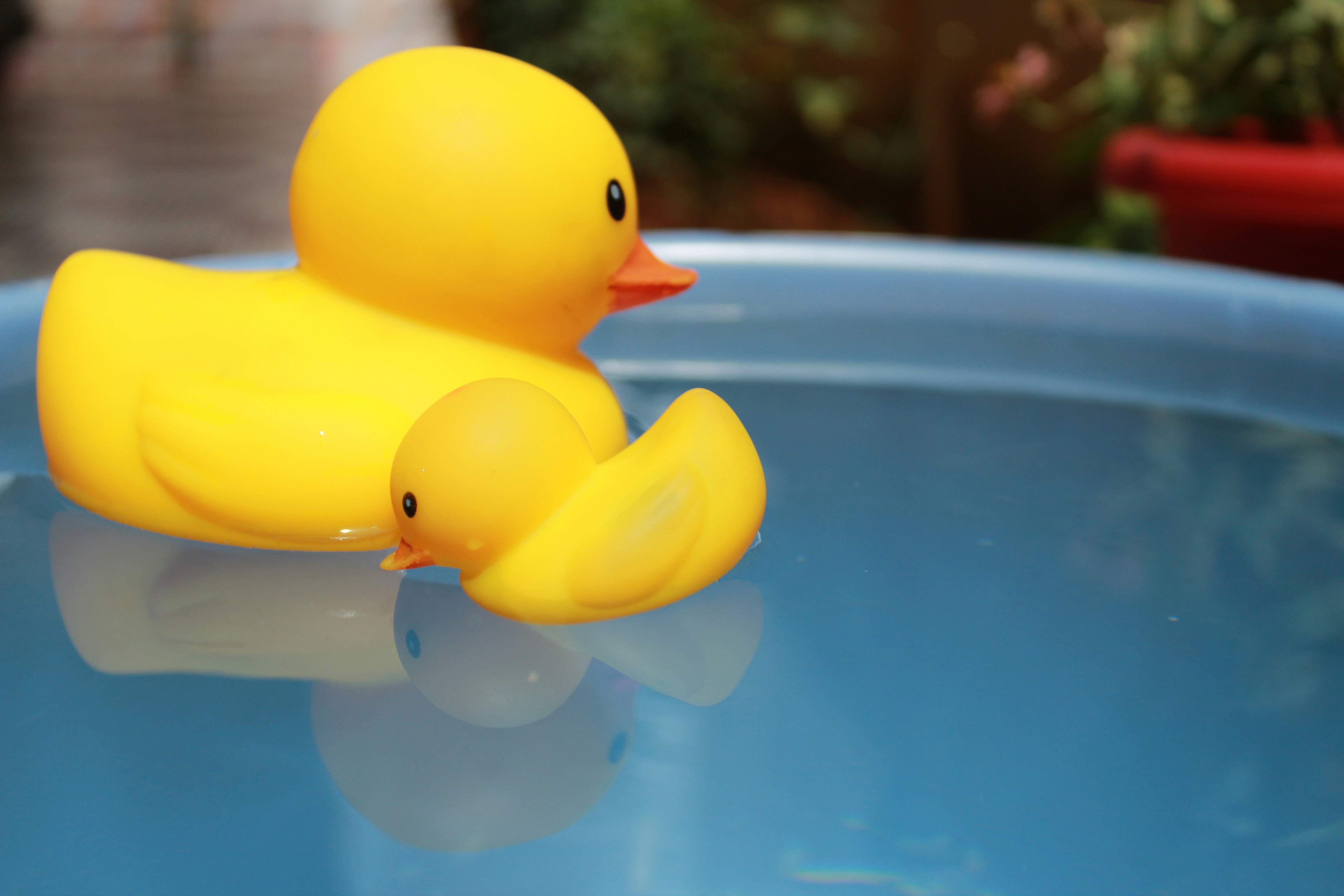 Photo by srini2srinivas