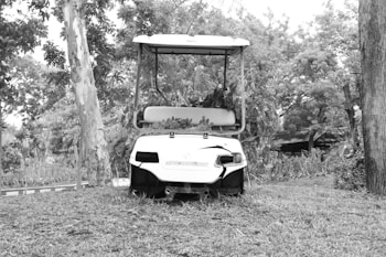 A damaged golf cart is positioned on a grassy area surrounded by dense foliage and trees. The vegetation intrudes into the golf cart's seating area, and there is a noticeable dent at the rear of the vehicle. The background features lush greenery, adding an overgrown and abandoned feel to the scene.