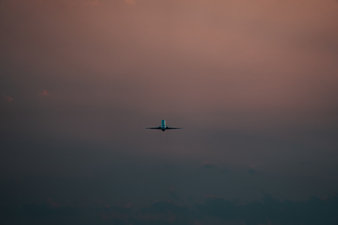 airplane flying in the sky,