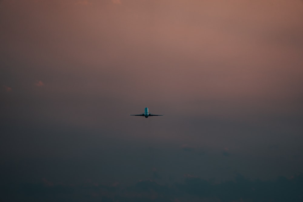 airplane flying in the sky