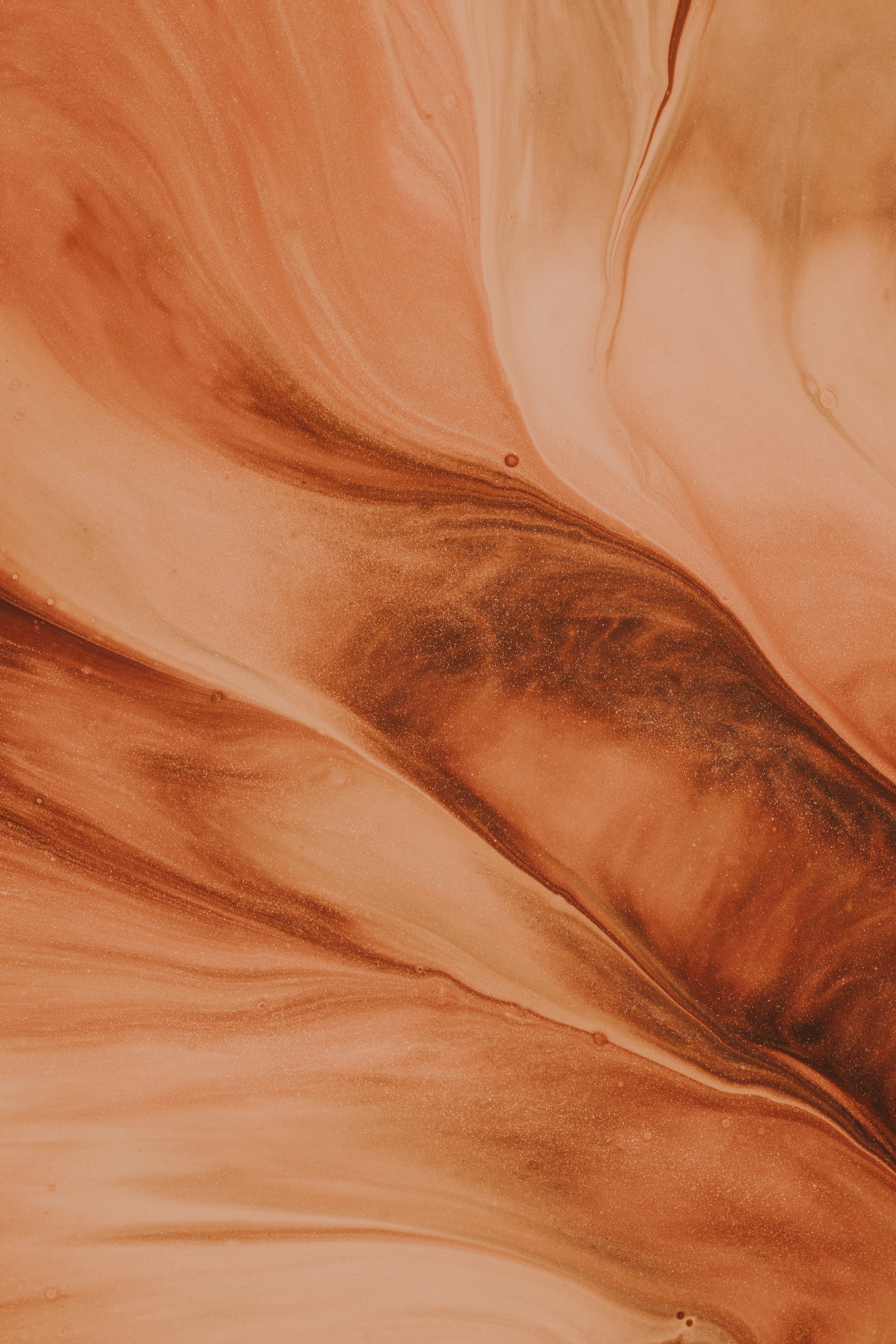 Desert Silk by Tara Iyer