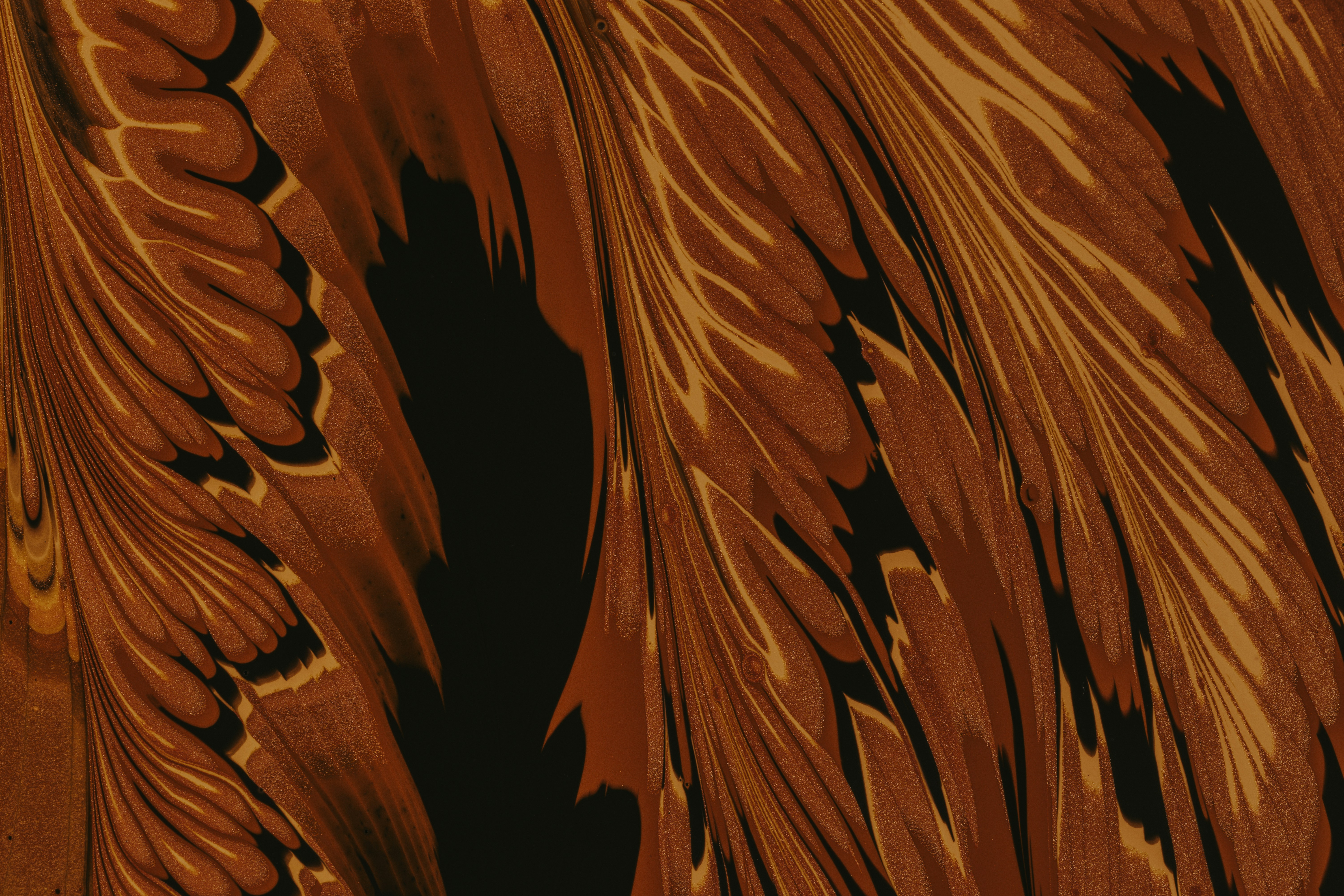 Photo by pawel_czerwinski