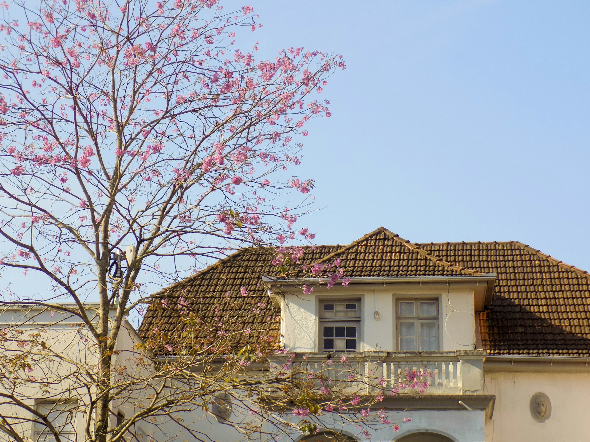 white and brown concrete house under blue sky during daytime