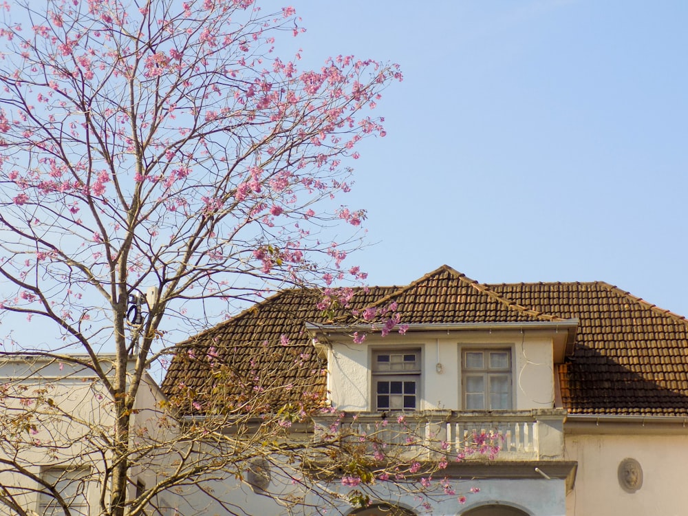 white and brown concrete house under blue sky during daytime