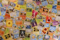 A colorful display of rare Pokémon cards in protective sleeves